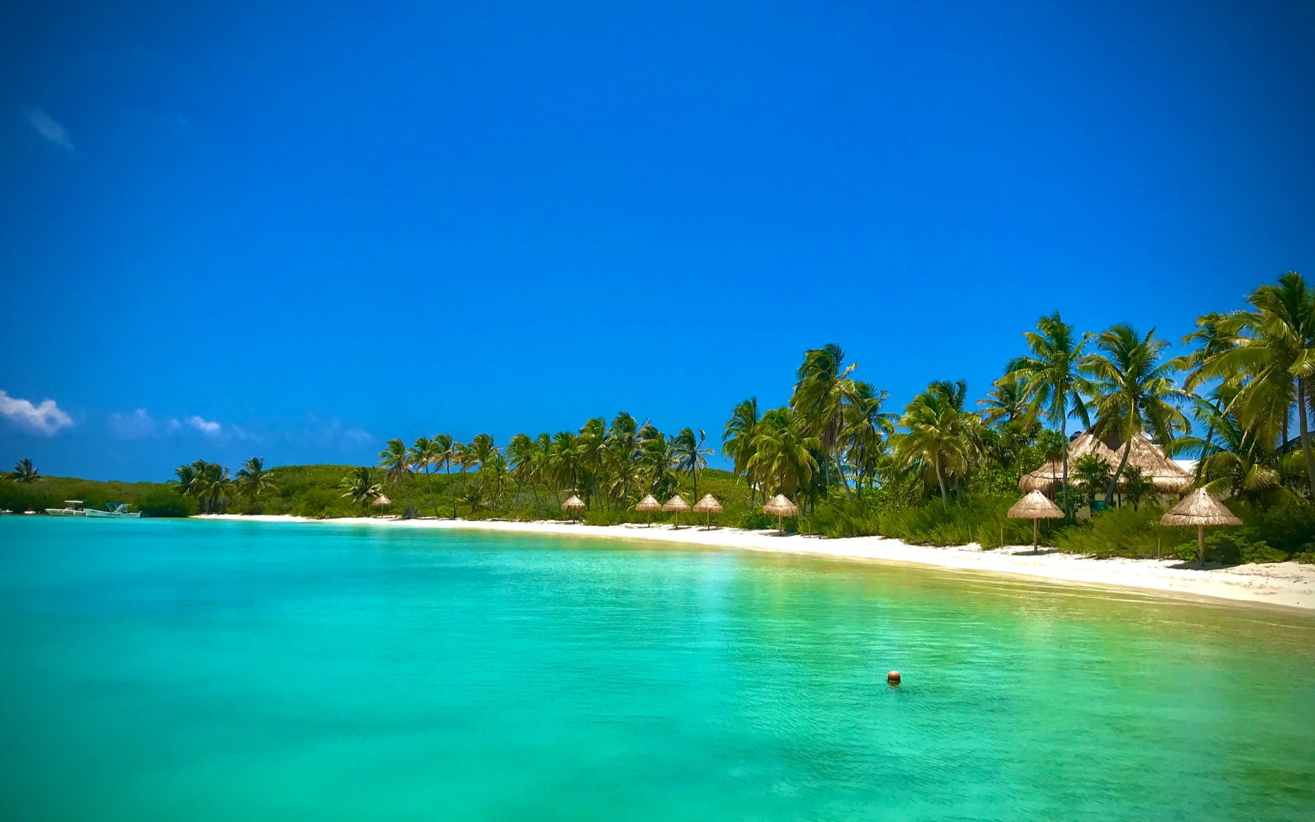 Isla Contoy & Isla Mujeres One-Day Tour from Mexico