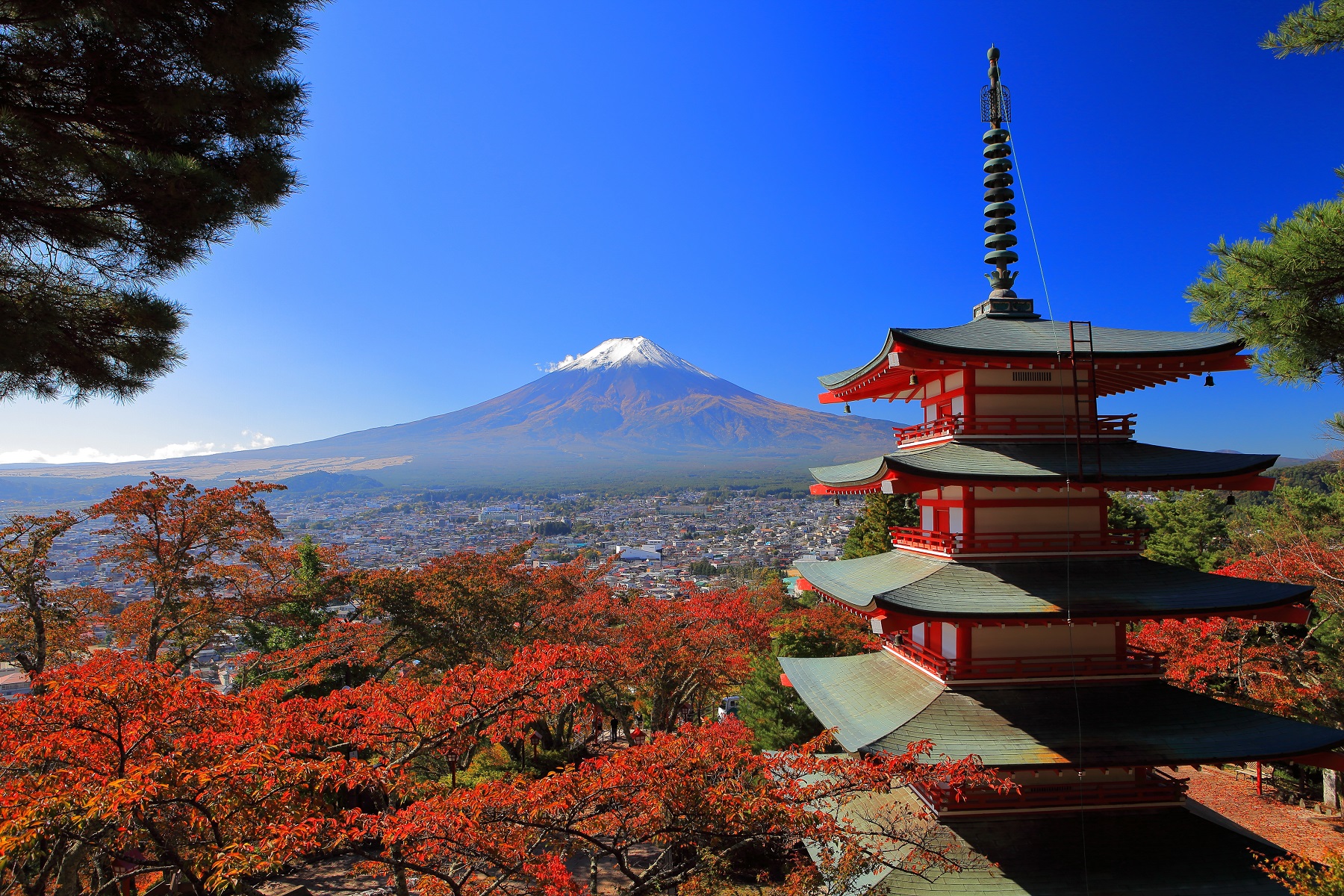 「富士山天空鳥居秘境一日遊」富士山五合目＆富士吉田街道＆新倉山淺間公園＆大石公園＆羅森便利商店(東京出發）