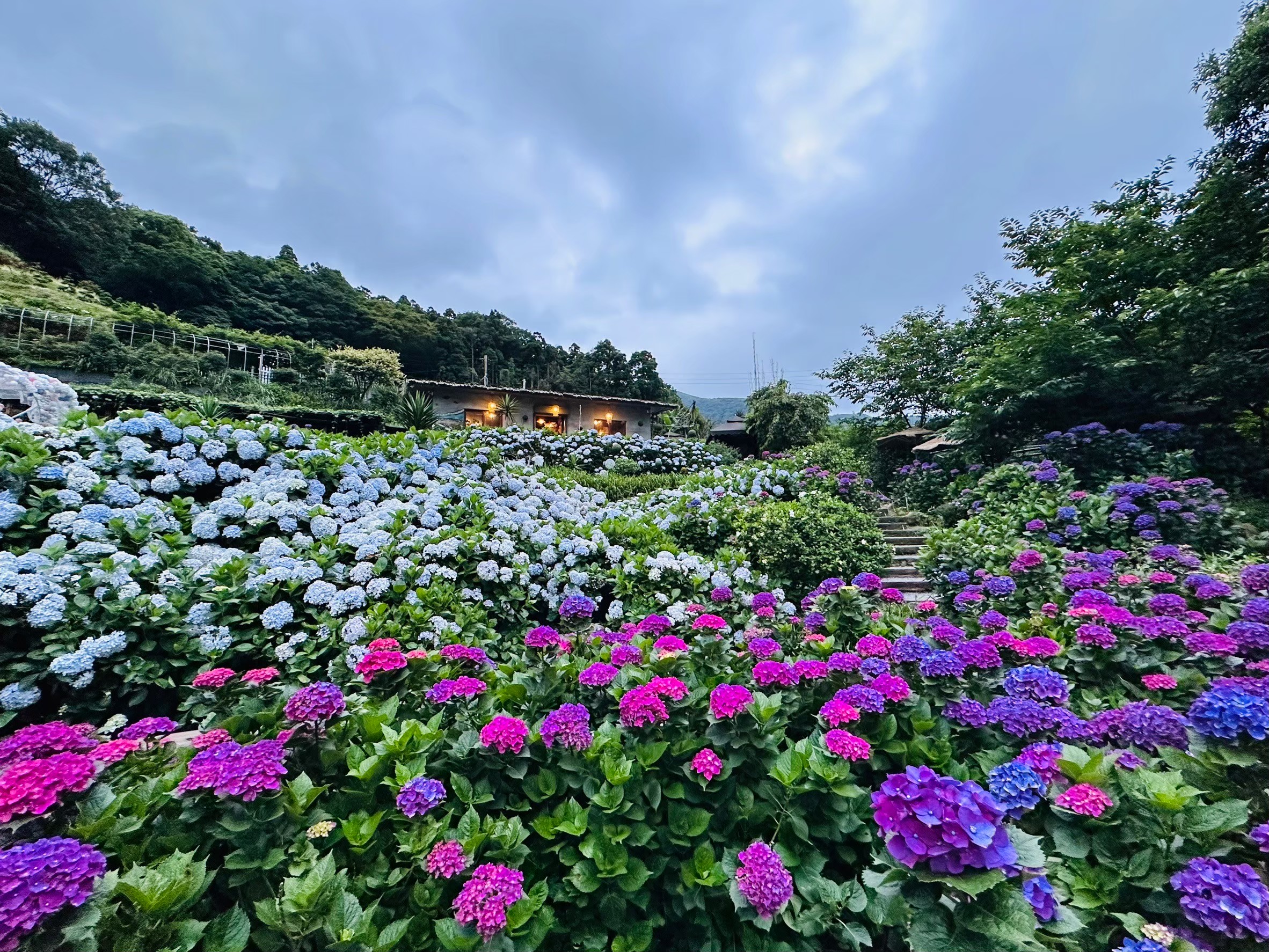 曹家花田香門票