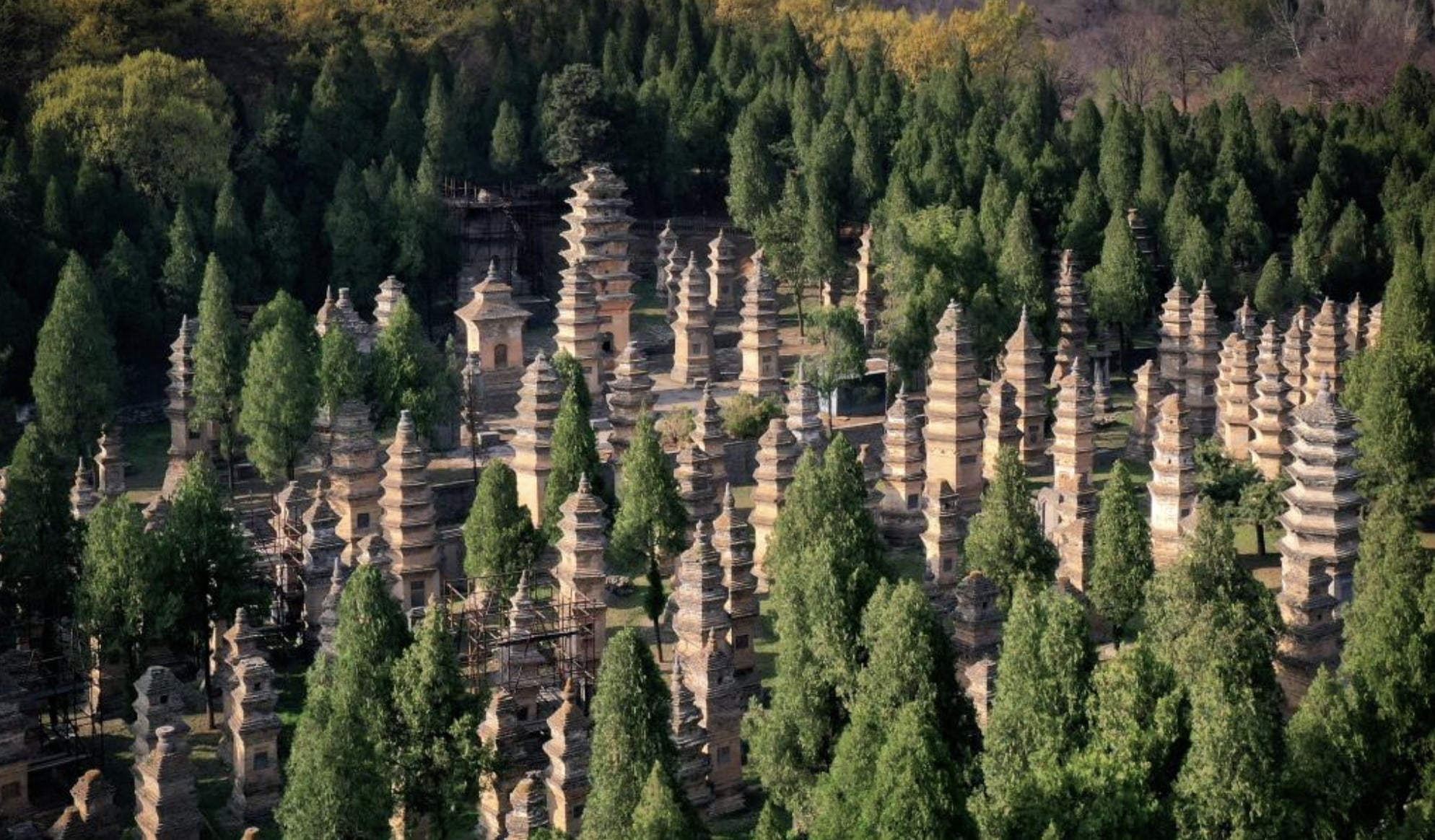 Next, explore the Pagoda Forest which is a concentration of tomb pagodas for eminent monks and abbots of the temple. 

There are more than 240 tomb pagodas of various sizes from the Tang, Song, Jin, Yuan, Ming and Qing dynasties (618-1911), making it the 