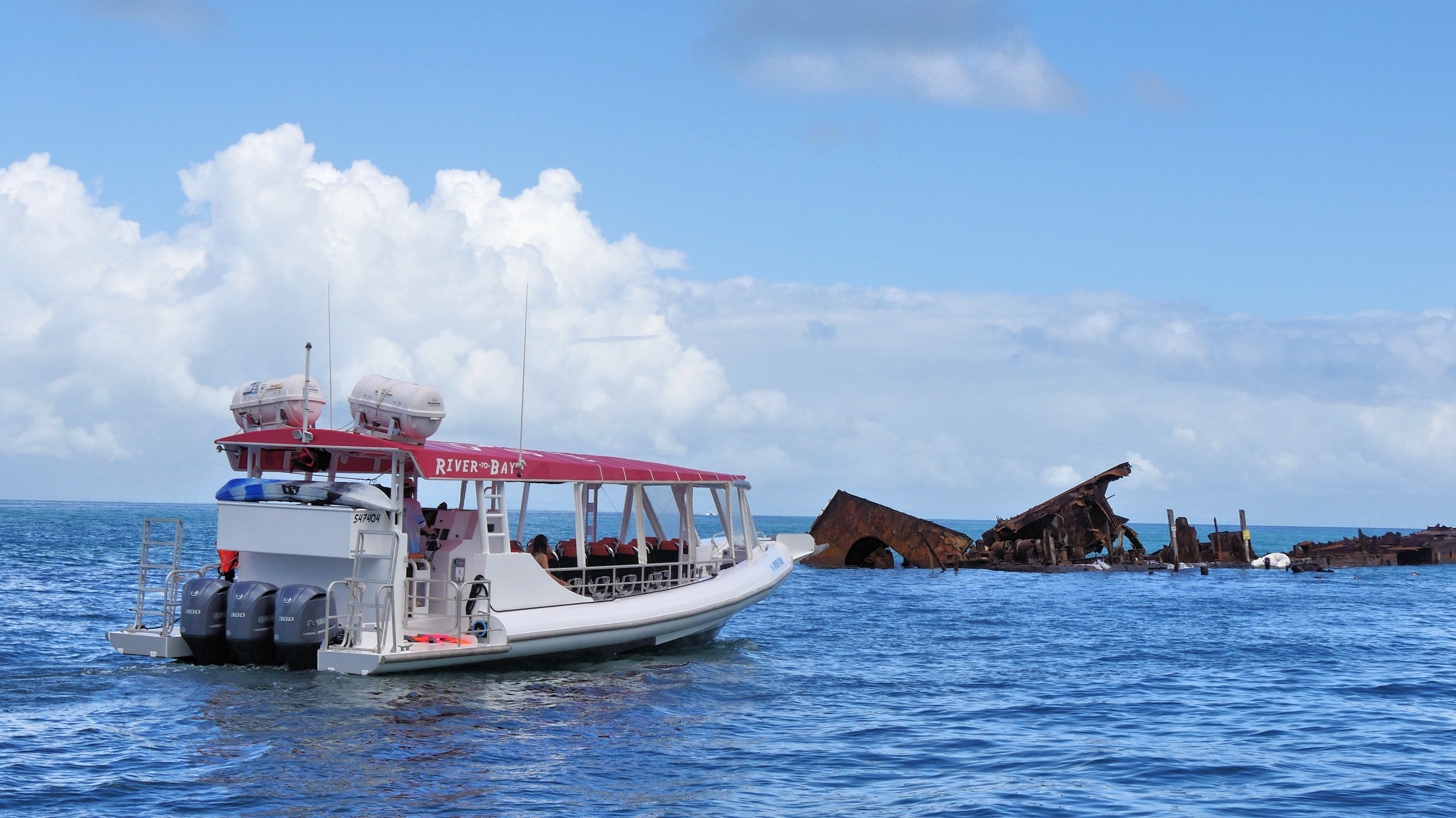 Best of Moreton Bay Island Tour from Brisbane