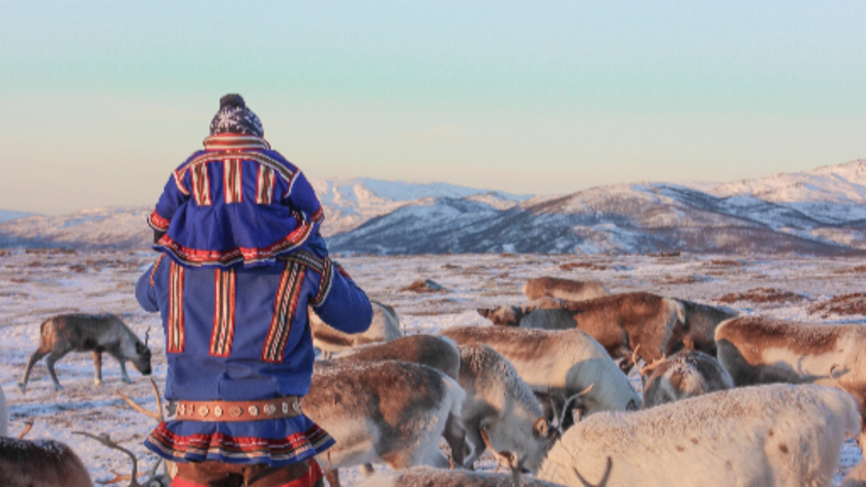 Reindeer Ranch and Sami Cultural in Tromso