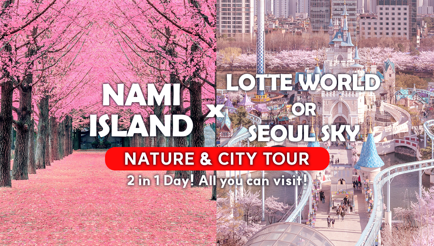 Nami Island and Lotte world (or Seoul) Sky Day Tour