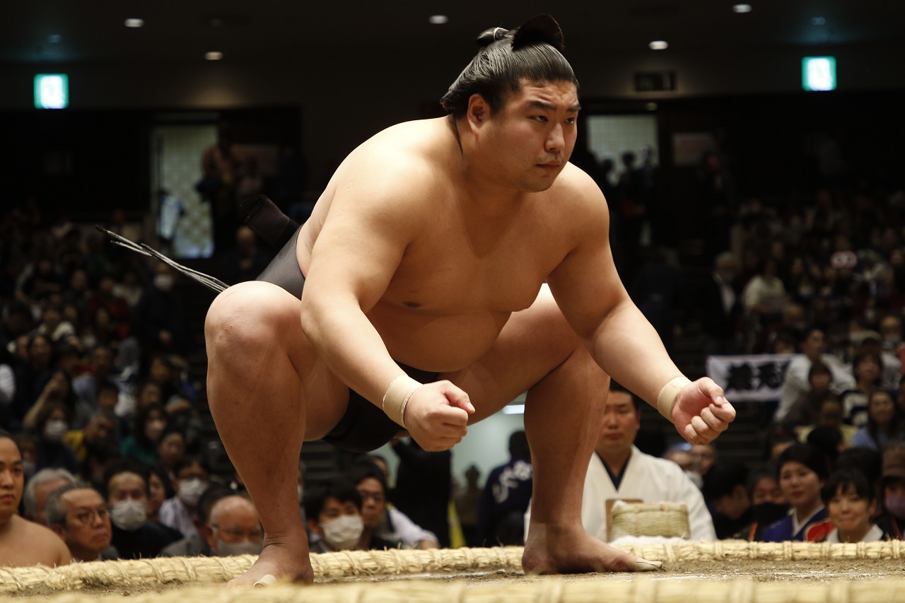 東京大相撲錦標賽觀賽體驗