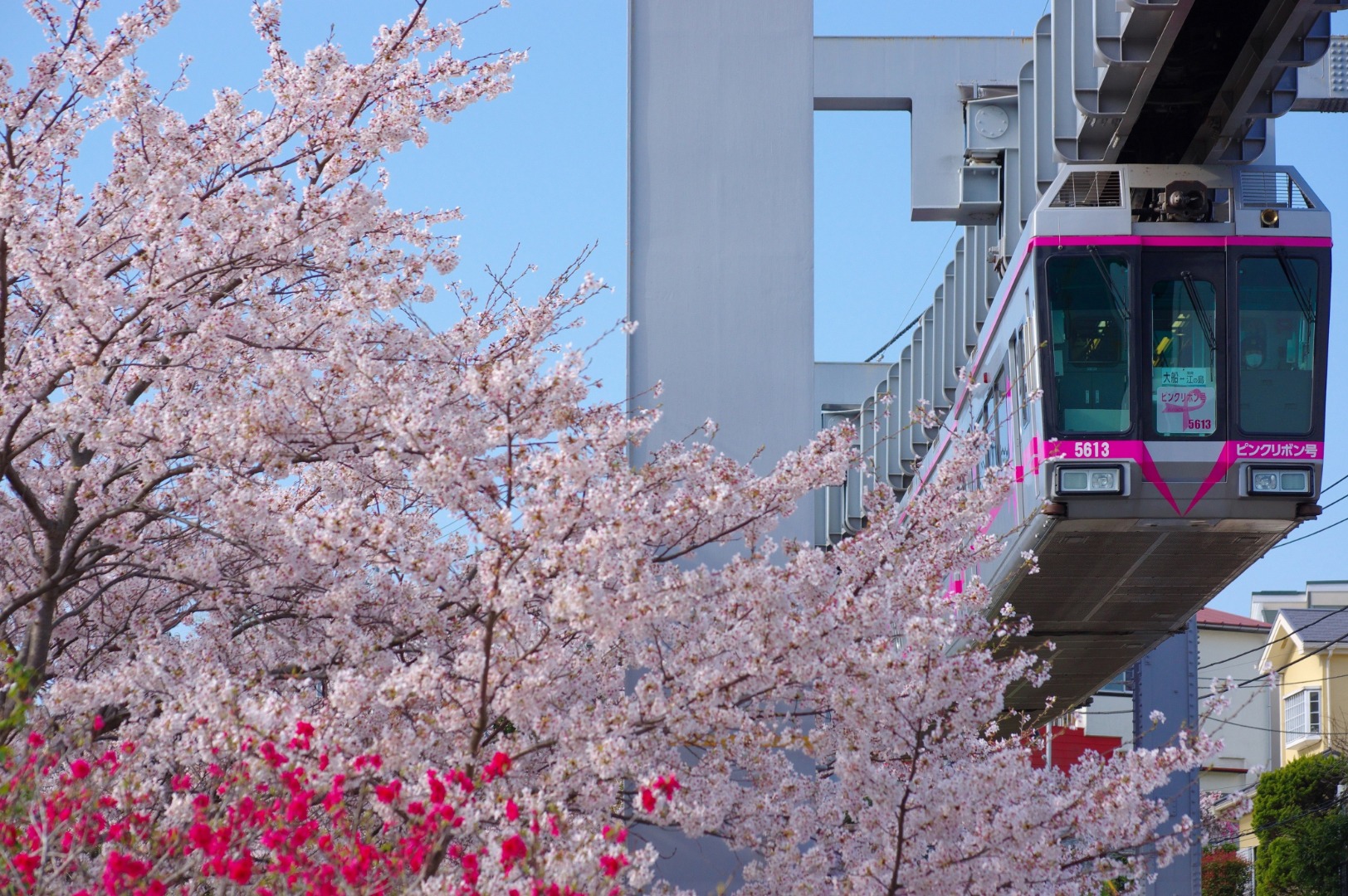 日本湘南單軌電車票