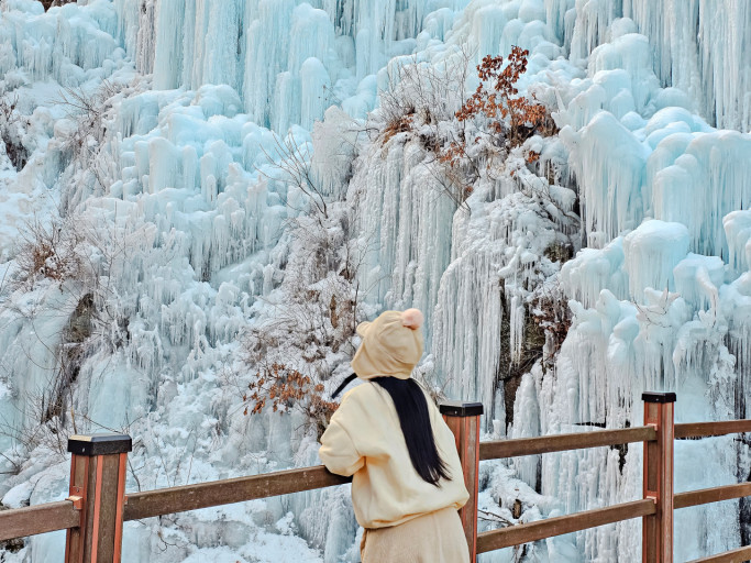 Eobi Ice Valley & Alpaca & Strawberry & Nami & Lighting Festival