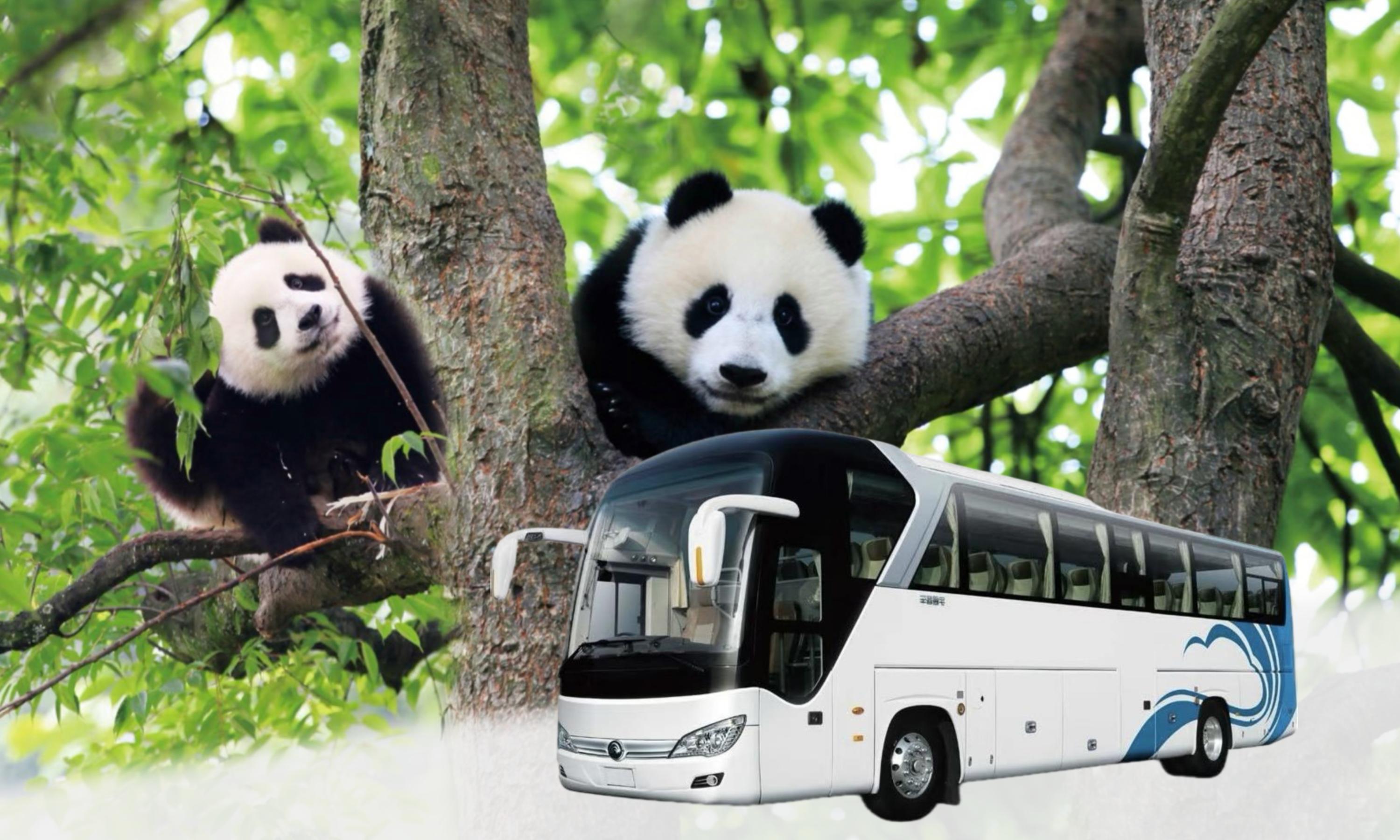 Chengdu to/from Wolong China Giant Panda Garden Shenshuping Base Bus ticket