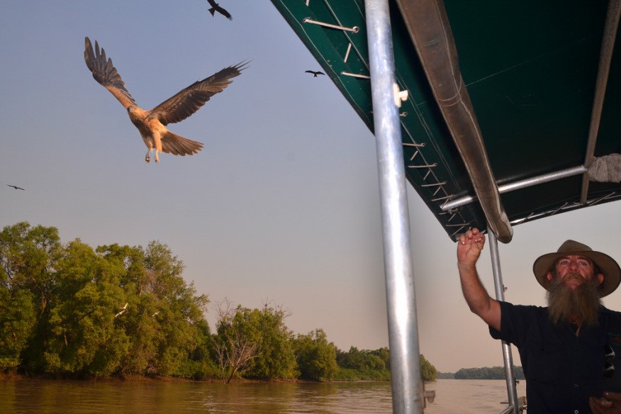 Jumping Crocodile Adventure Cruise with Lunch