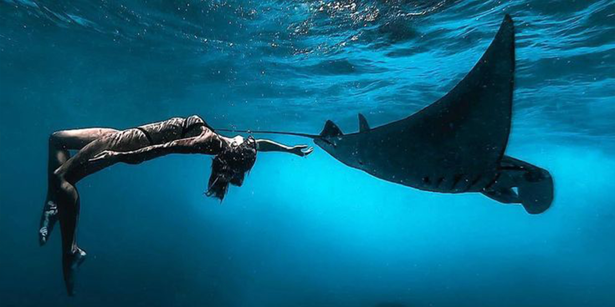 Manta Point Snorkeling