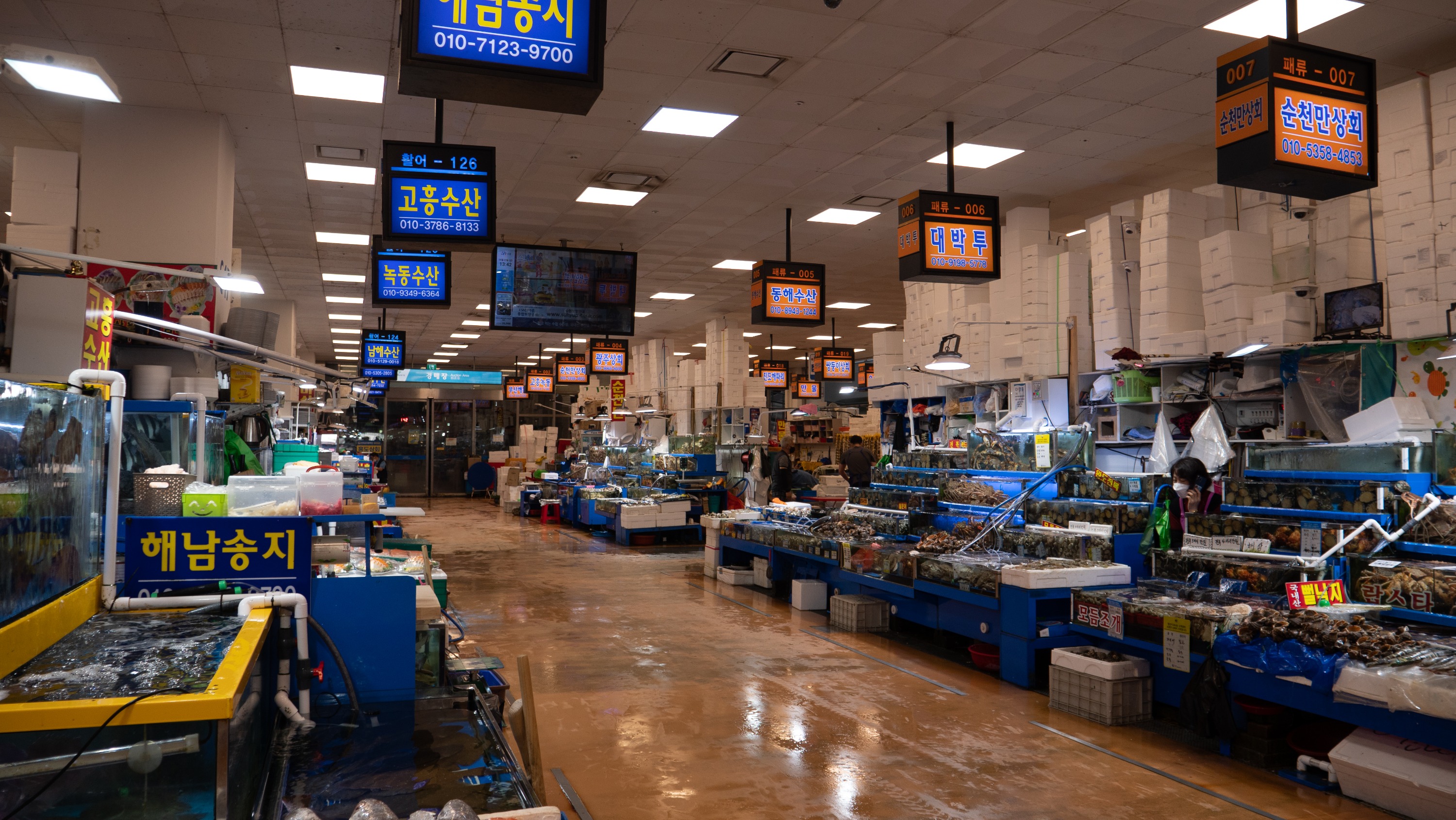 Noryangjin Fish Market Food Tour