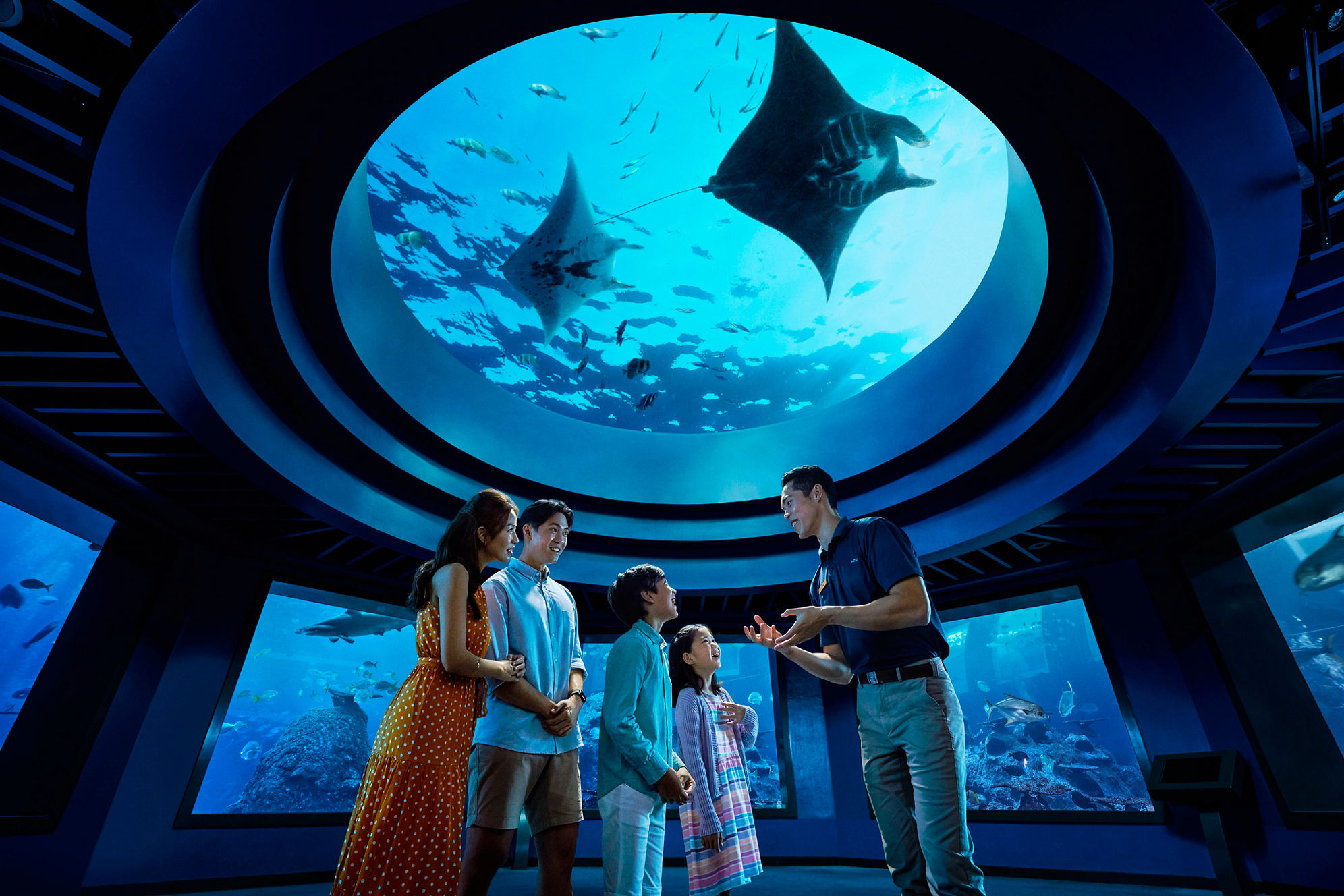 Explore the oceanarium’s most iconic zones with an expert guide