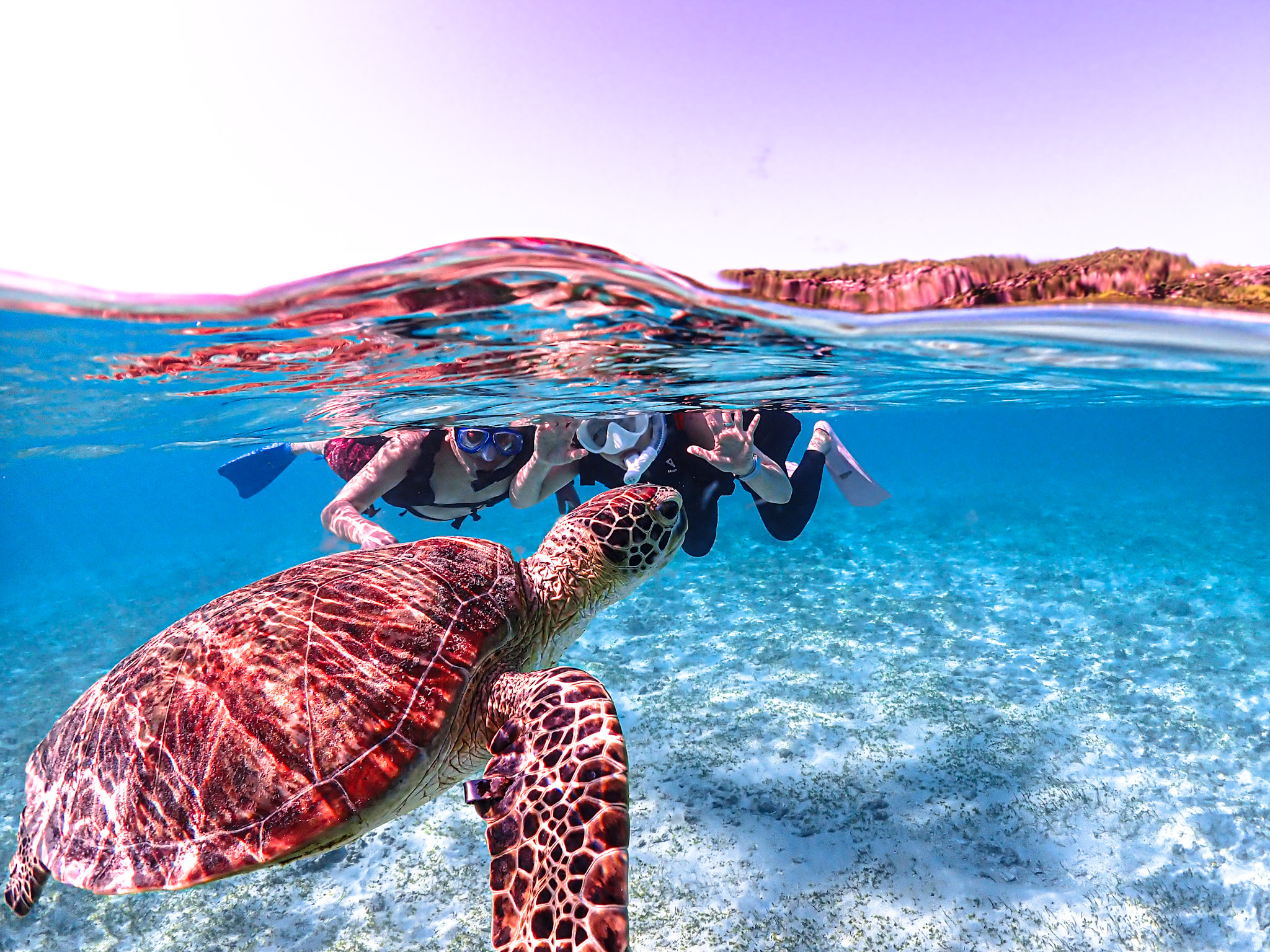 Miyakojima: Dengiz toshbaqasi bilan uchrashish ehtimoli yuqori | Snorkeling tajribasi