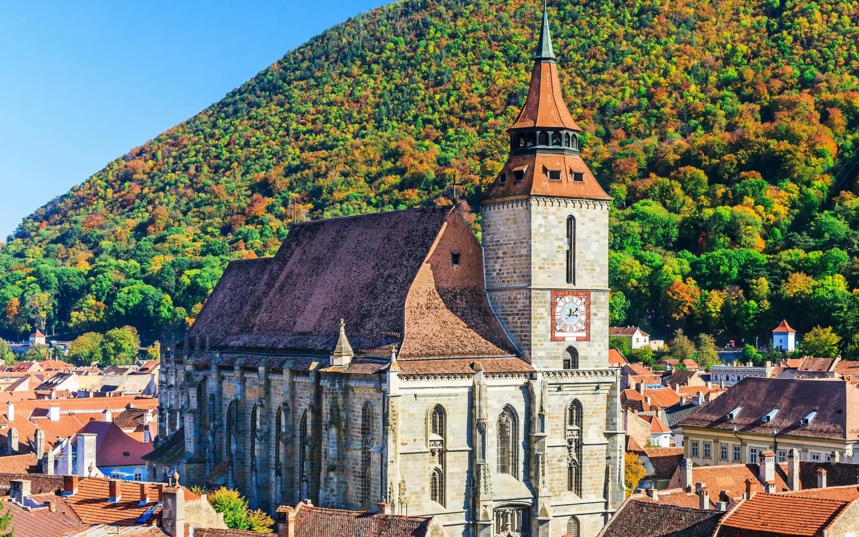 Bucharest Libearty Bear Sanctuary Full-Day Small Group Tour