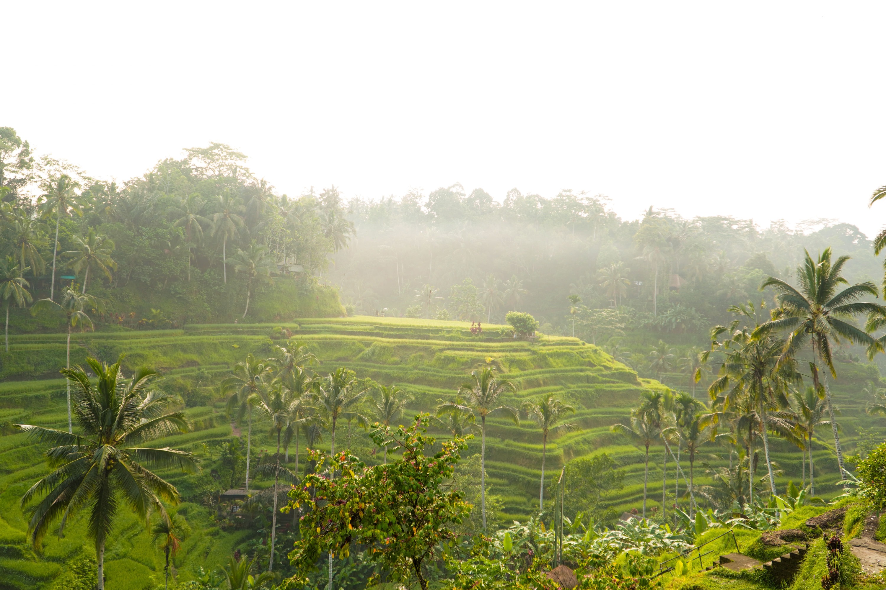 Bali Multi Day Tour With Optional Photographer & Video Drone 