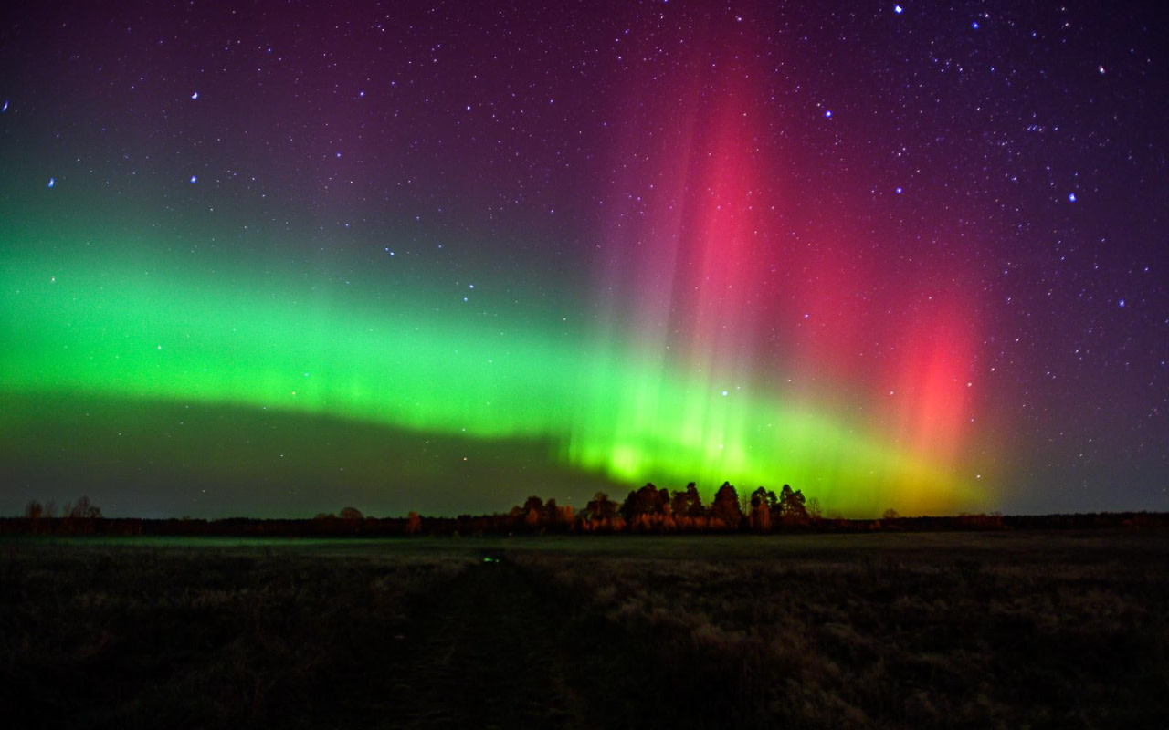 體驗北極探險、享用營火美食、探索雪地小徑，並驚嘆於舞動的北極光。