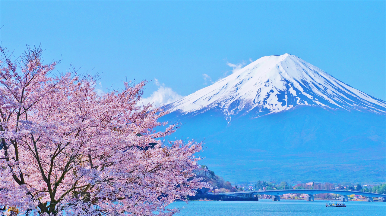 富士山三湖｜河口湖·山中湖·精進湖“抱子富士”一日遊｜東京/新宿出發