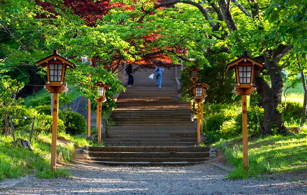 富士山探索之旅-新倉山淺間公園·天梯小鎮·忍野八海·河口湖大石公園·西湖療愈里根場一日遊