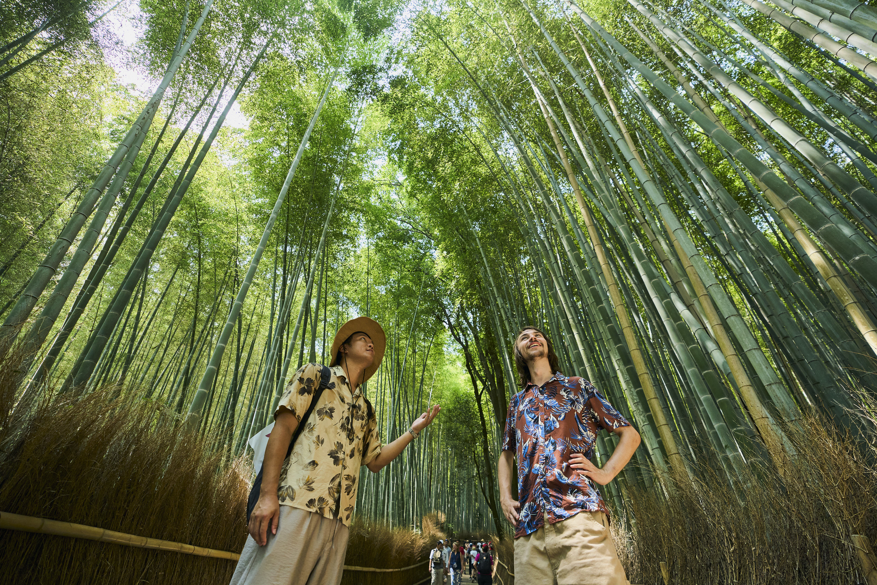 Kyoto: Arashiyama UNESCO Walking Tour with Admission