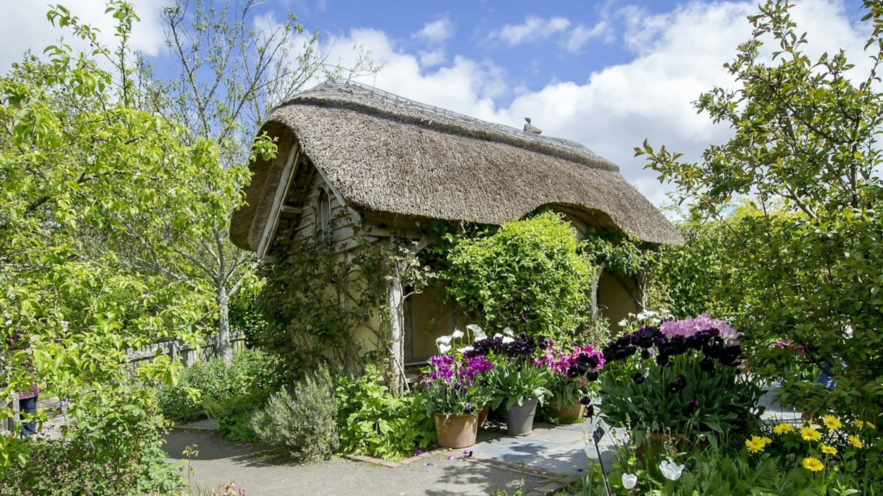 RHS Garden Rosemoor ticket in Devon