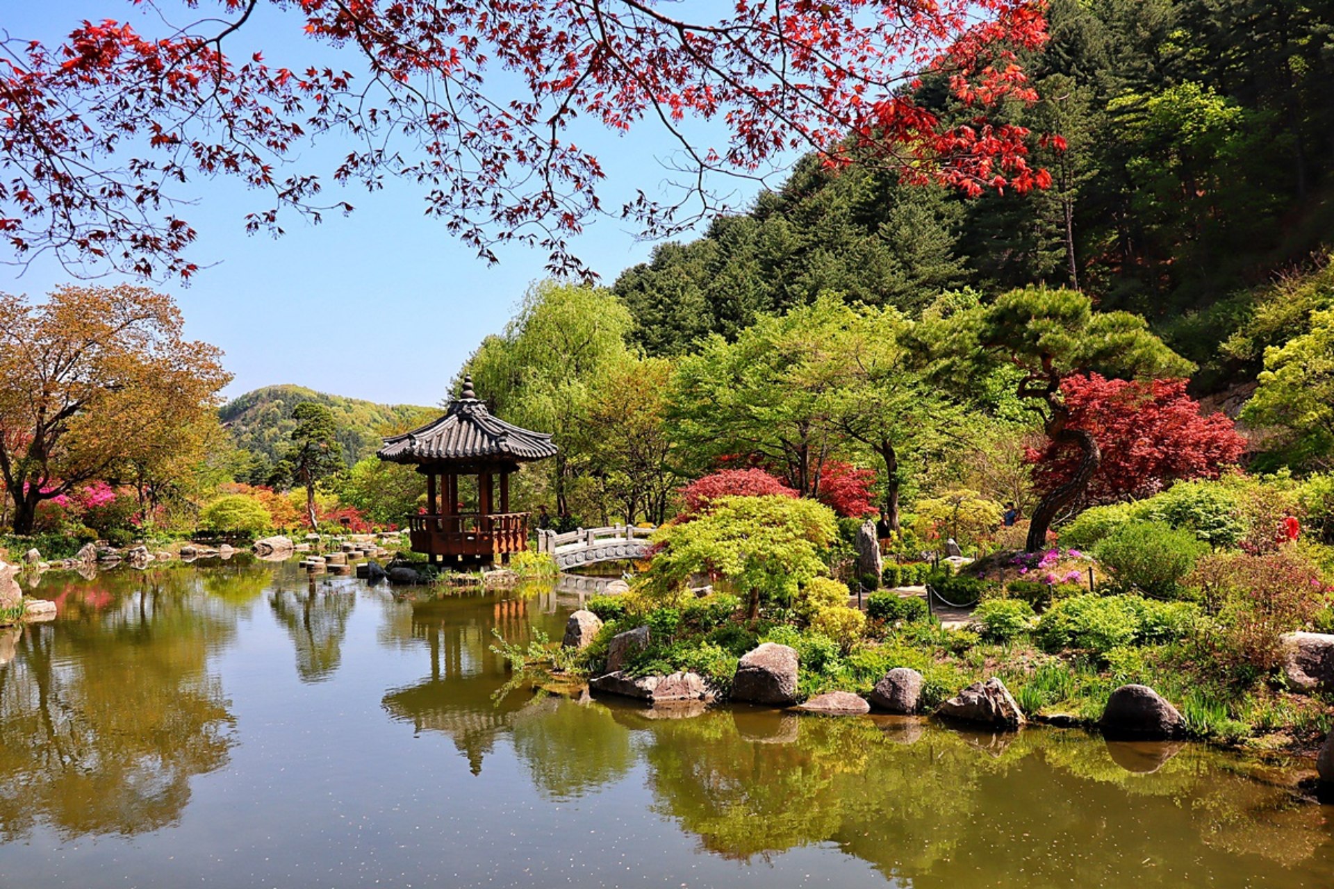 三岳山纜車 / 晨靜樹木園 燈光節 / 採摘草莓 / Eobi冰谷 / 雪橇 一日遊