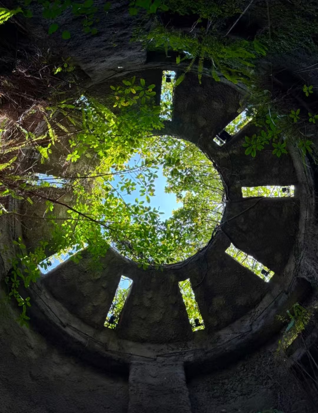 高知牧野植物園太絕了!既能沉浸式打卡千種植物,又能登頂俯瞰山海風光,古寺禪意與自然野趣撞個滿懷,妥妥的日系治癒系寶藏地! 高知牧野植物園太絕了!既能沉浸式打卡千種植物,又能登頂俯瞰山海風光,古寺禪意與自然野趣撞個滿懷,妥妥的日系治癒系寶藏地!