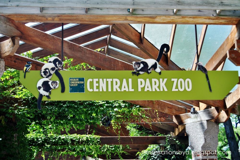 中央公園動物園 & 3小時曼哈頓步行遊