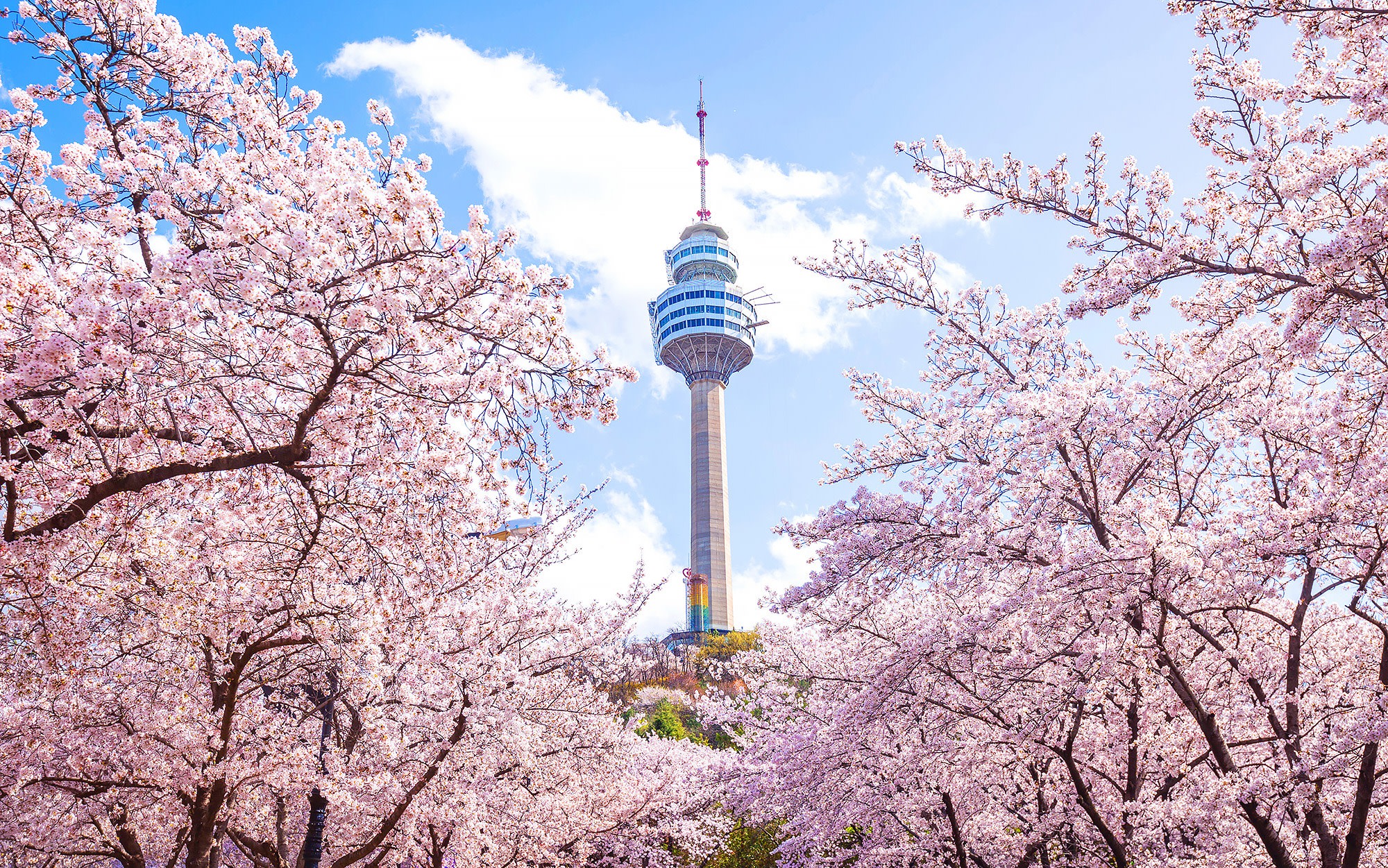 Daegu One Day Tour:  Palgongsan Cable Car & E-World Night View