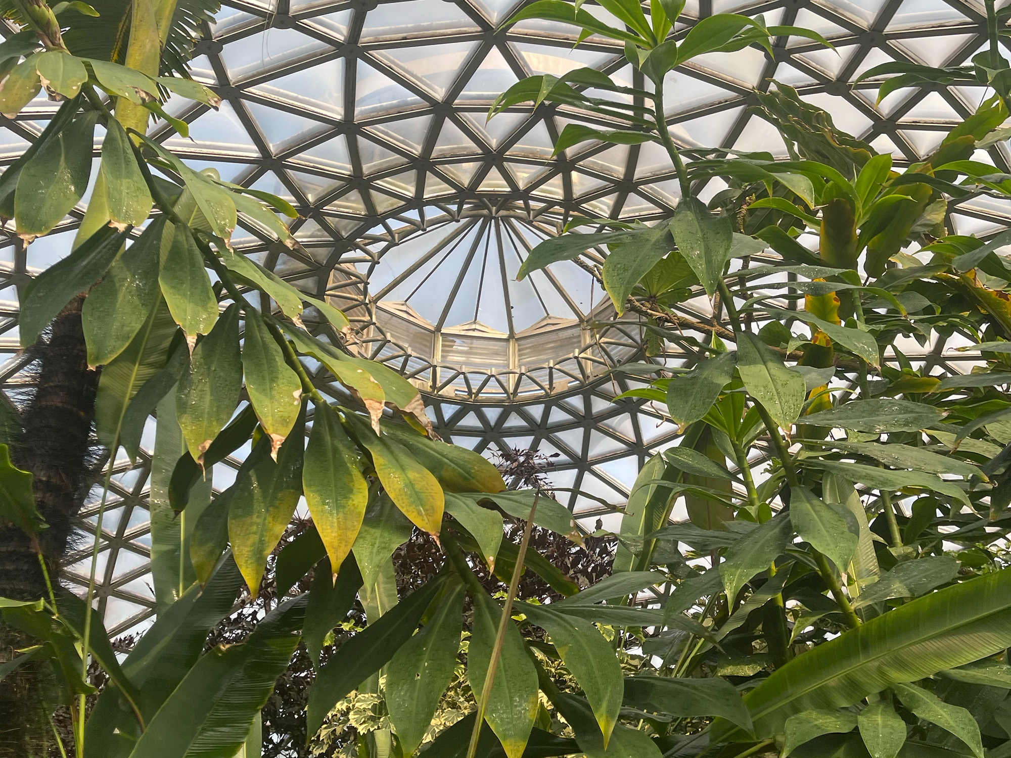 布里斯班城市觀光之旅