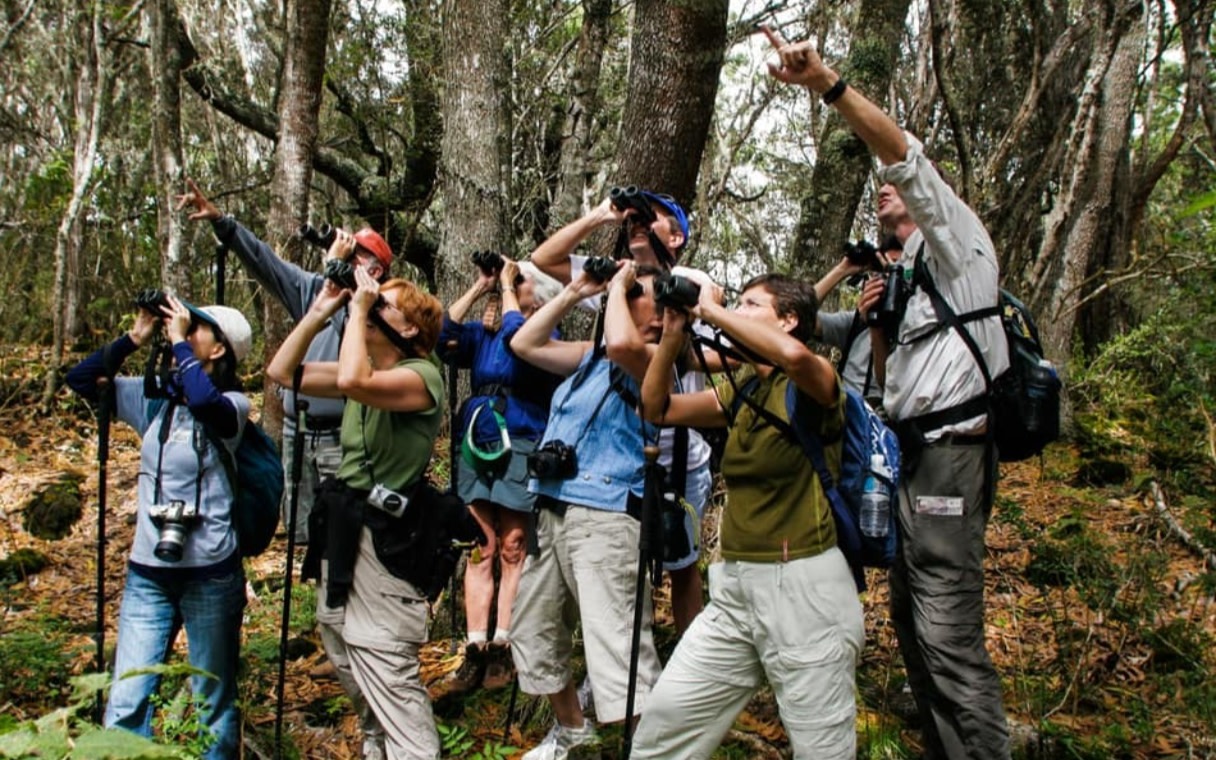 Hakalau Forest National Wildlife Refuge one day hiking tour