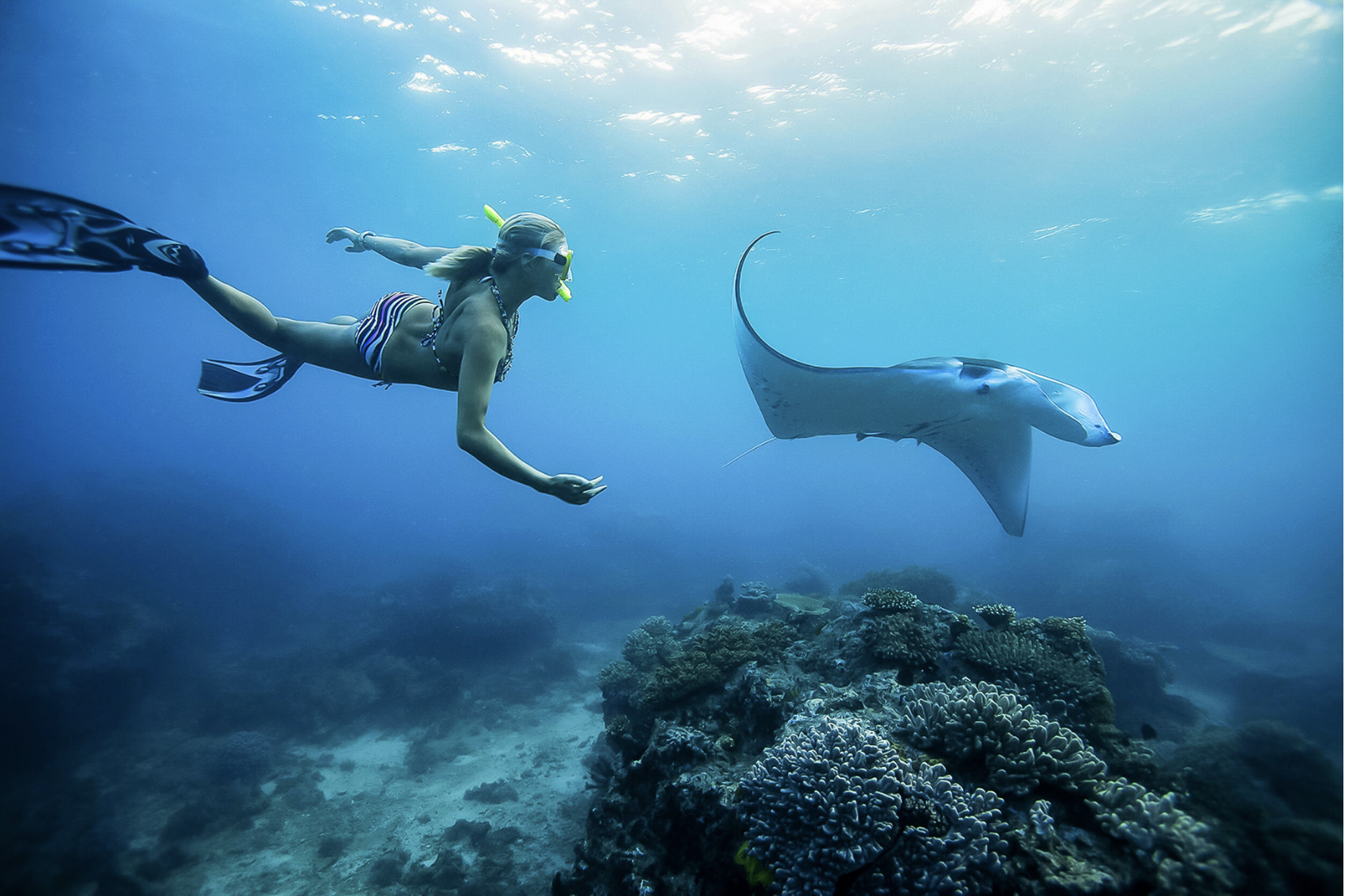 Manta Ray Snorkelling Day Tour in Nusa Lembongan and Nusa Penida