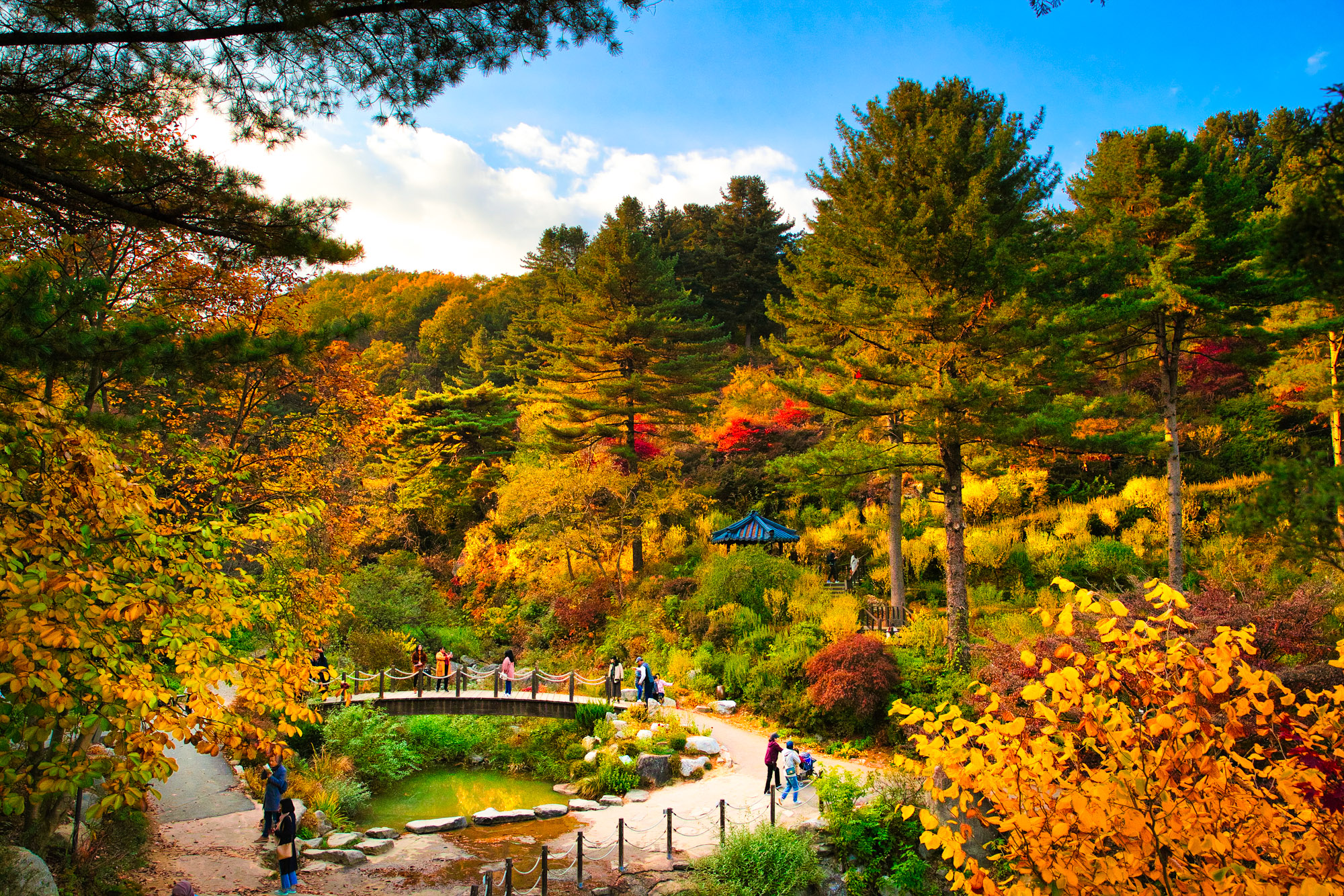 The Garden of Morning Calm is a premier arboretum in Gyeonggi Province, South Korea, offering serene natural beauty and harmonious landscapes