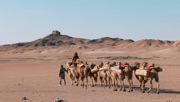 一列駱駝馱著行囊迤邐而行,駝鈴彷彿穿越時空,將人帶回絲綢之路的繁華歲月。引駝人步履從容,與廣袤沙海形成鮮明對比,凸顯人類探索與自然壯闊的交融。遠處,陽關烽燧孤傲矗立,沙丘如浪起伏,在澄澈藍天映襯下,勾勒出一幅雄渾的邊塞畫卷,令人瞬間沉浸於“西出陽關無故人”的詩意與遐想中。 一列駱駝馱著行囊迤邐而行,駝鈴彷彿穿越時空,將人帶回絲綢之路的繁華歲月。引駝人步履從容,與廣袤沙海形成鮮明對比,凸顯人類探索與自然壯闊的交融。遠處,陽關烽燧孤傲矗立,沙丘如浪起伏,在澄澈藍天映襯下,勾勒出一幅雄渾的邊塞畫卷,令人瞬間沉浸於“西出陽關無故人”的詩意與遐想中。