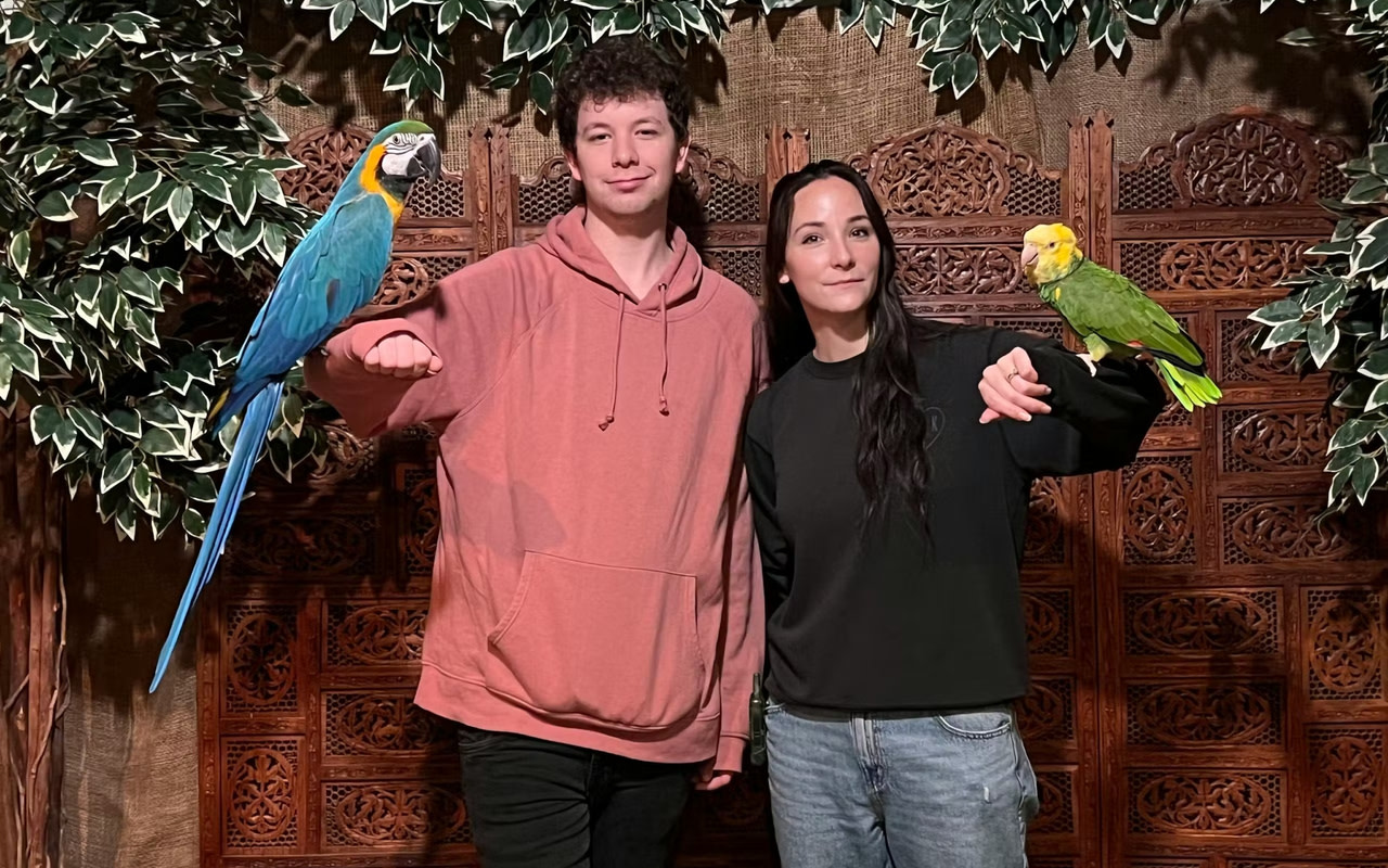 在 Bird Kingdom 享受與這些美麗鳥兒的近距離接觸，體驗不可思議的時刻。