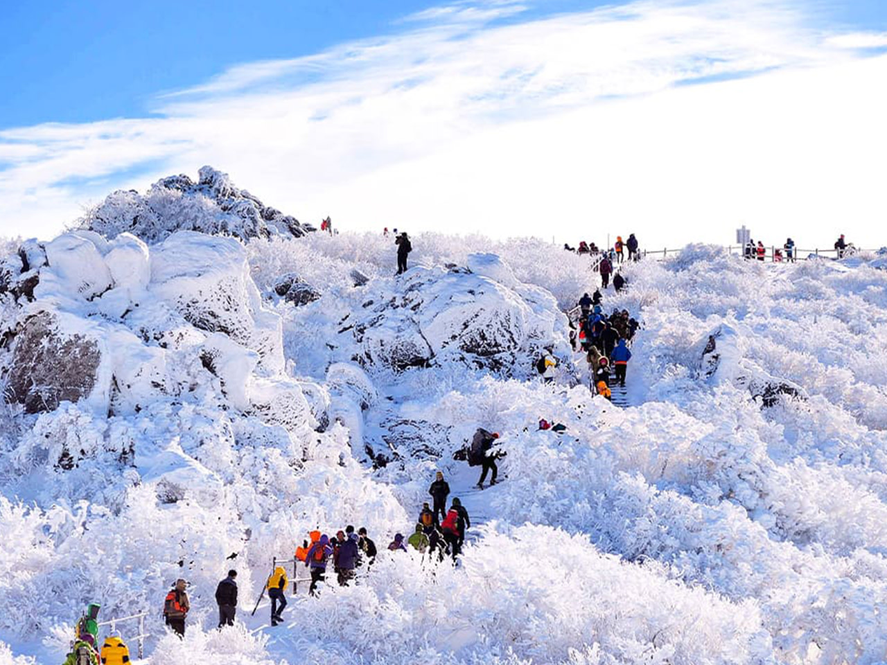 Пусан: Сноу-хайкинг в Мууджо Догюсан и зимний опыт (забор из отеля)