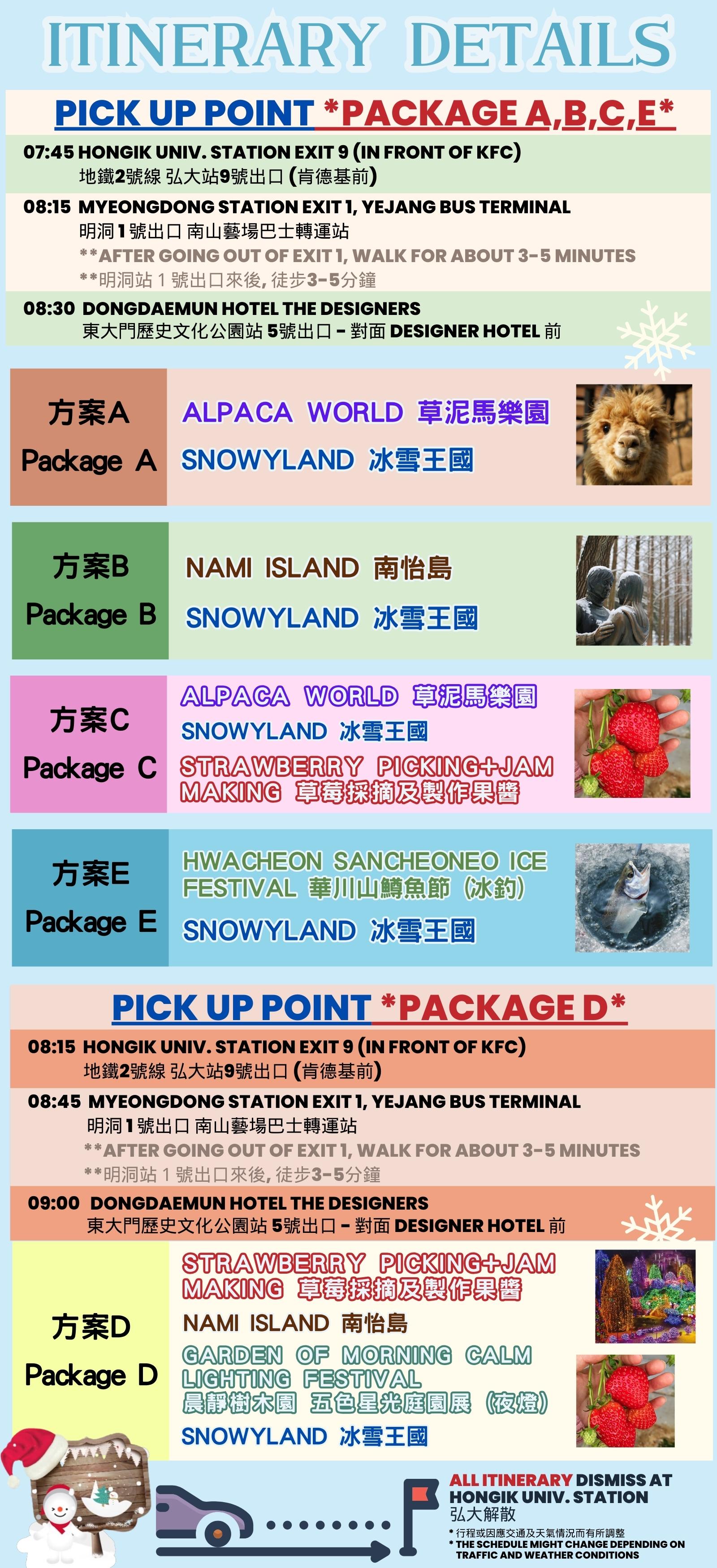 Vivaldi Snowyland & Nami & Alpaca & Strawberry Day Tour from Seoul