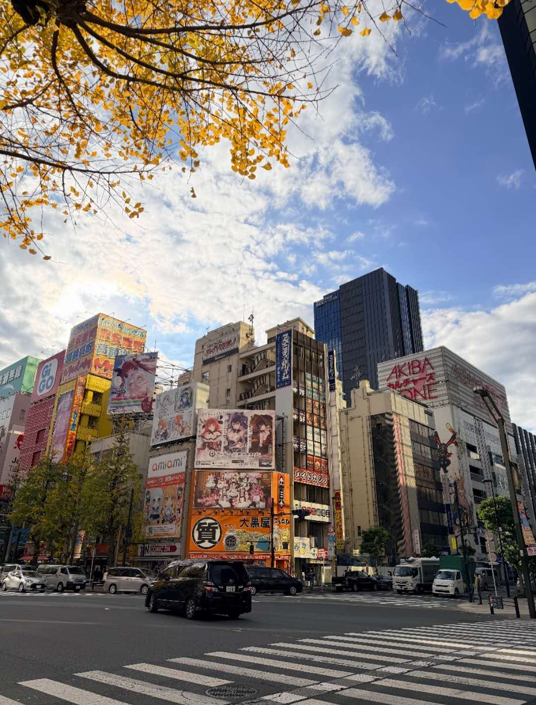  從街機到周邊，從痛車到偶像公演，秋葉原承包所有宅系浪漫。