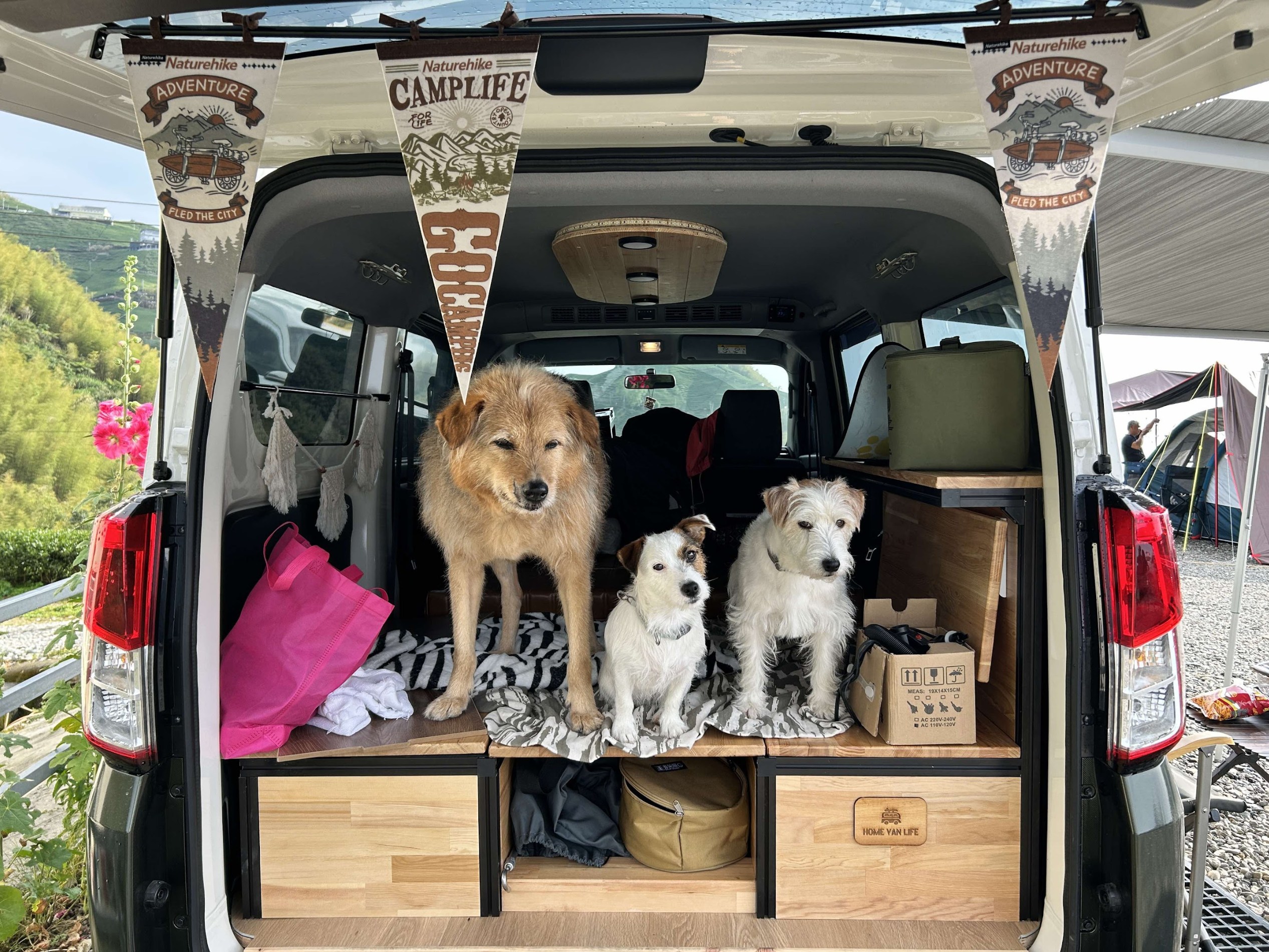 台北露營｜mini Kamper 迷你露營車出租自駕體驗