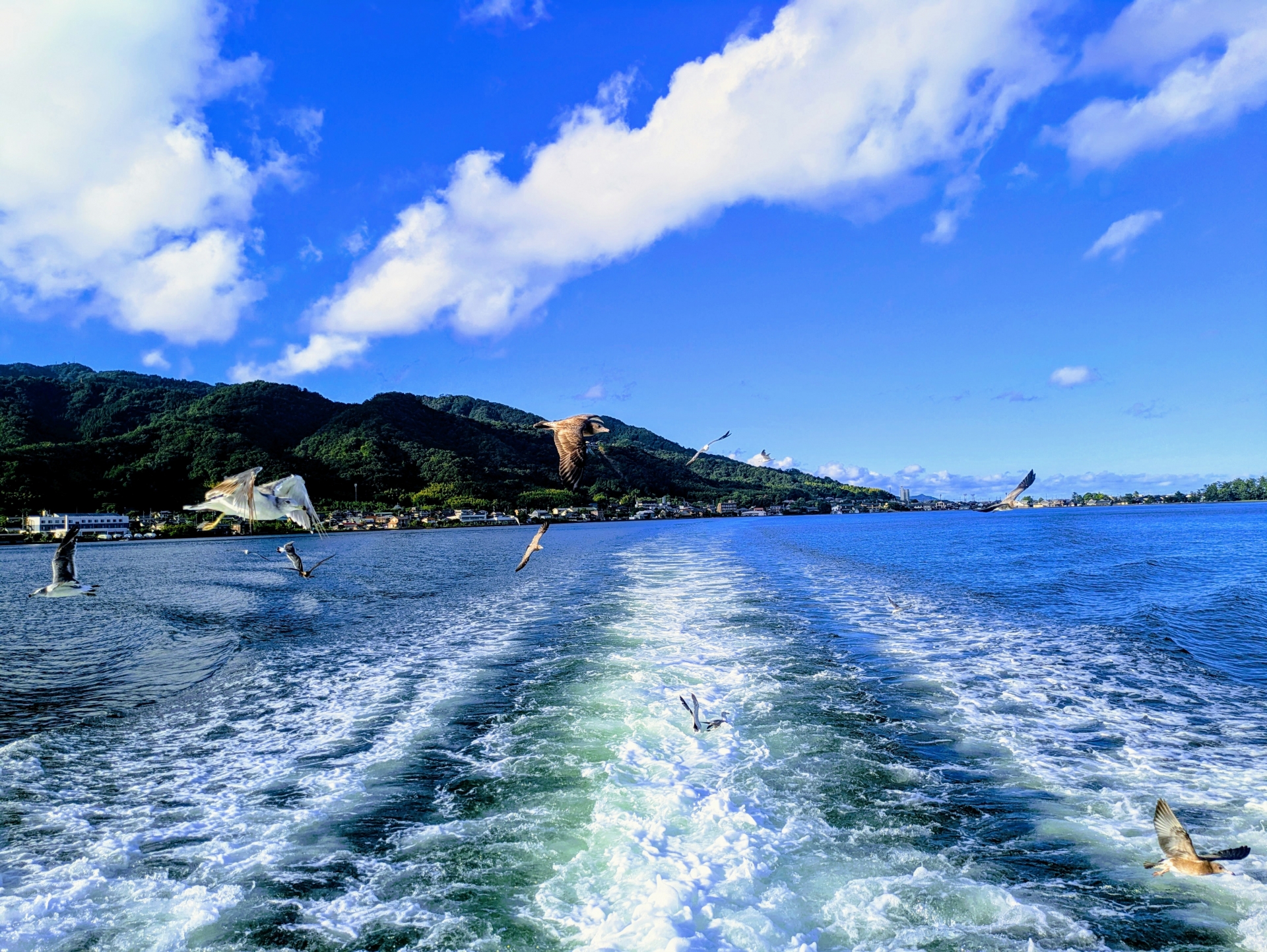Amanohashidate & Miyama One Day Tour with lunch (from Osaka/Kyoto)