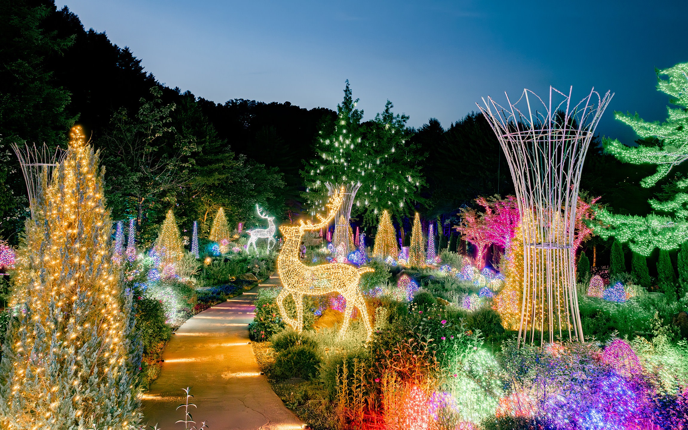Starlight Festival/ Alpaca/ Nami/ Railbike Day Tour from Seoul