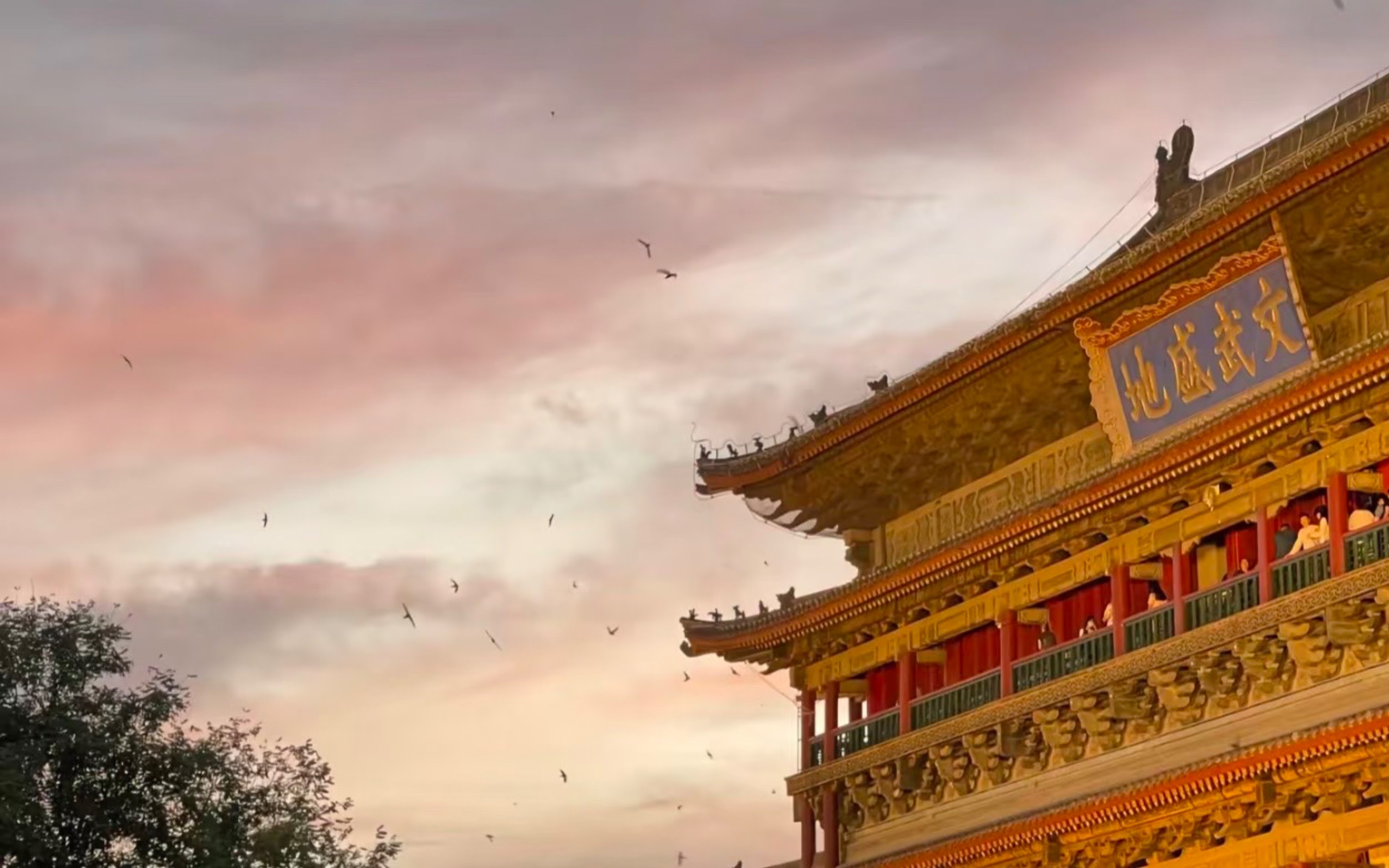 Xi'an Museum + City Wall + Bell Tower City Highlights One-Day Tour (Tang Dynasty Music and Dance Dumpling Banquet can be combined)