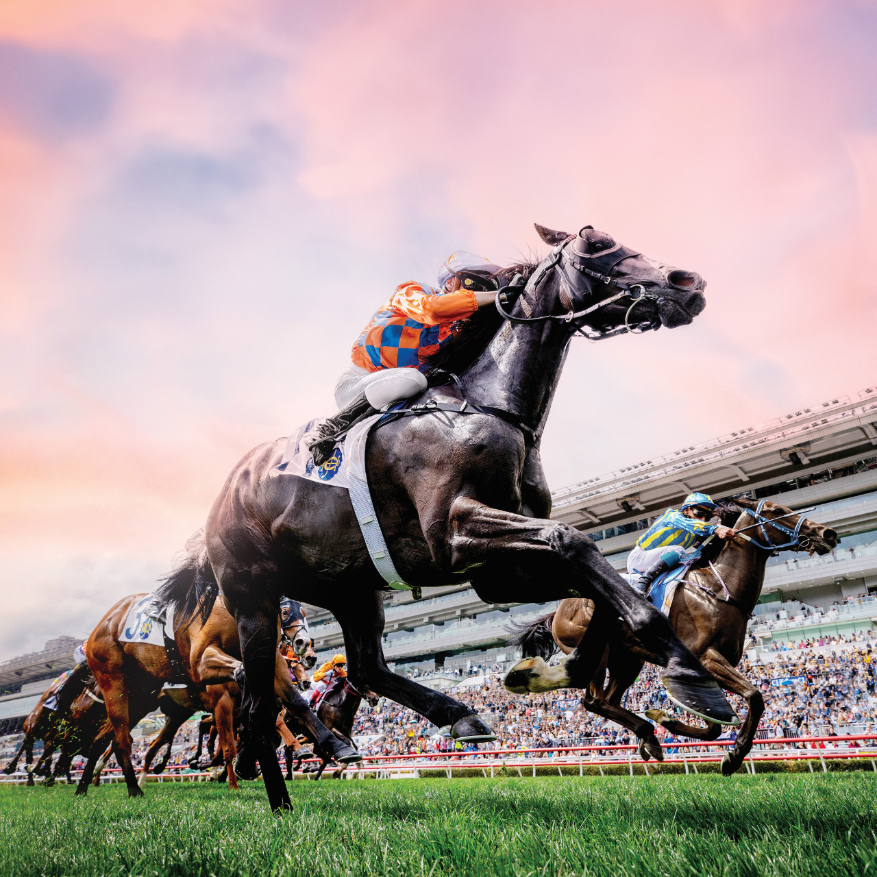 One Day/ Night Horse Racing Experience with Racecourse Guided Tour & Dining
