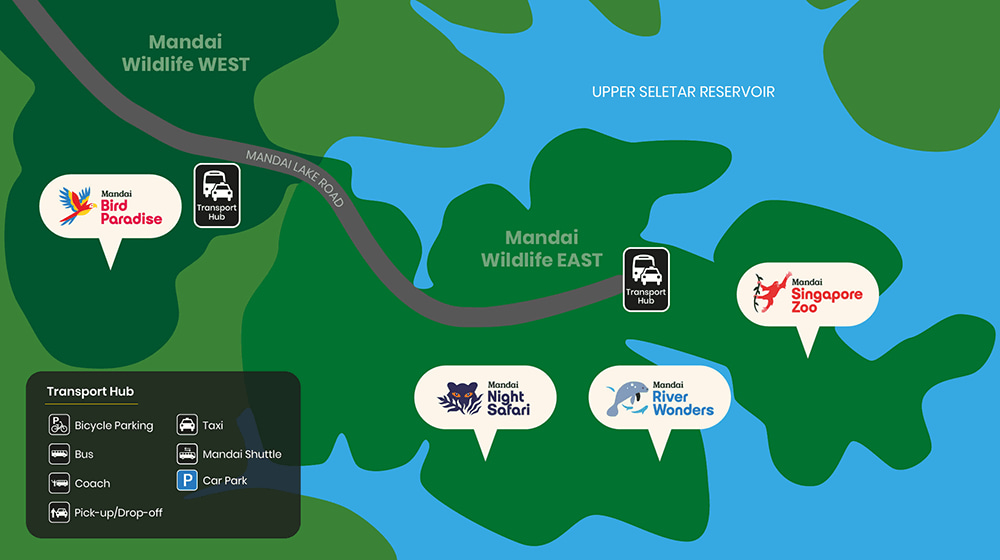 mandai singapore zoo bird paradise river wonders bird park night safari