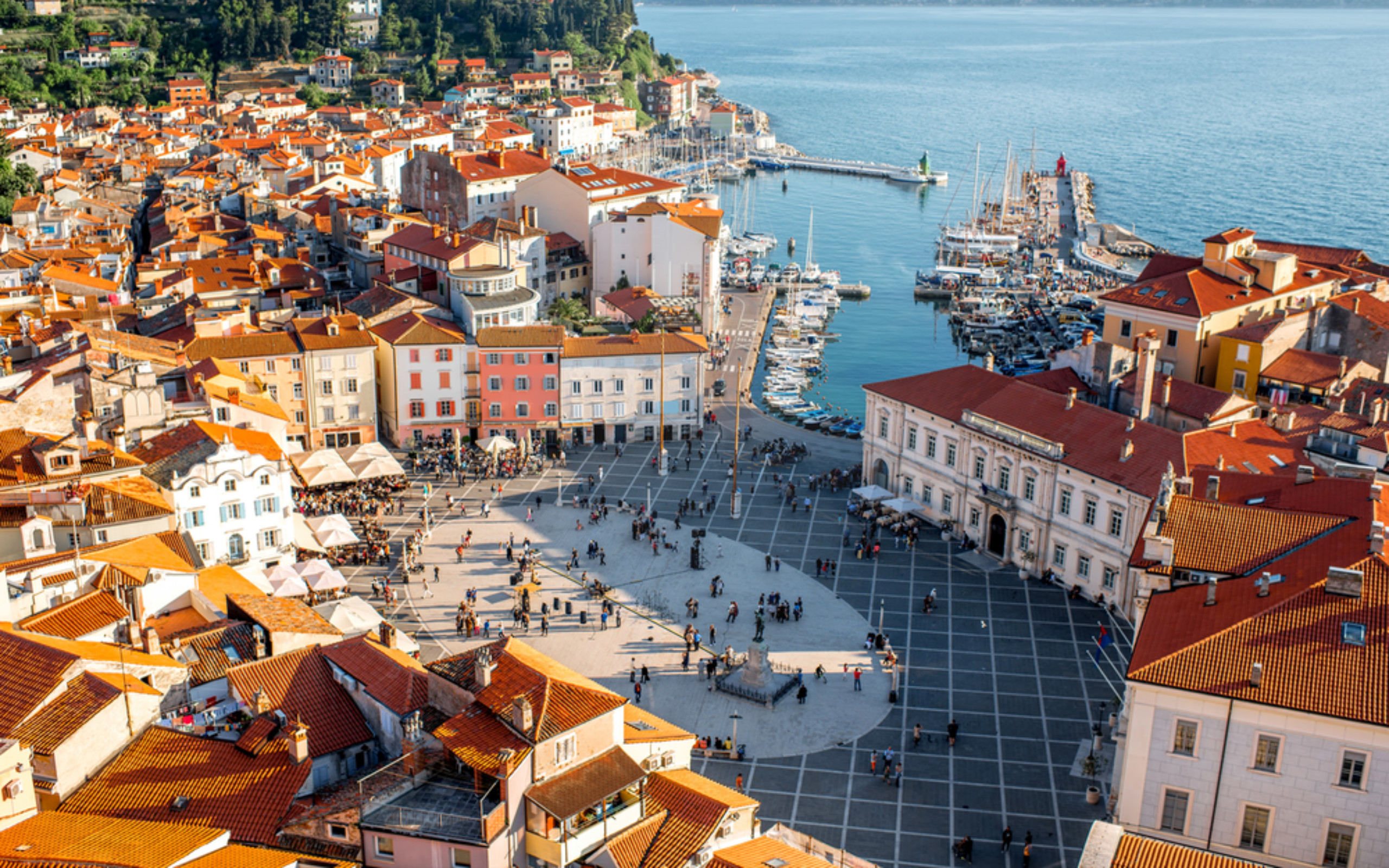 Lipica Stud Farm & Piran one-day tour from Ljubljana