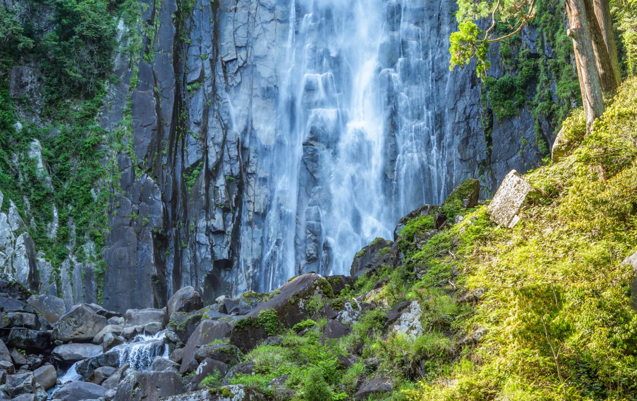 和歌山黑潮市場·白濱円月島·千畳敷·三段壁·潮岬·熊野古道·那智勝浦漁港二日遊｜大阪出發