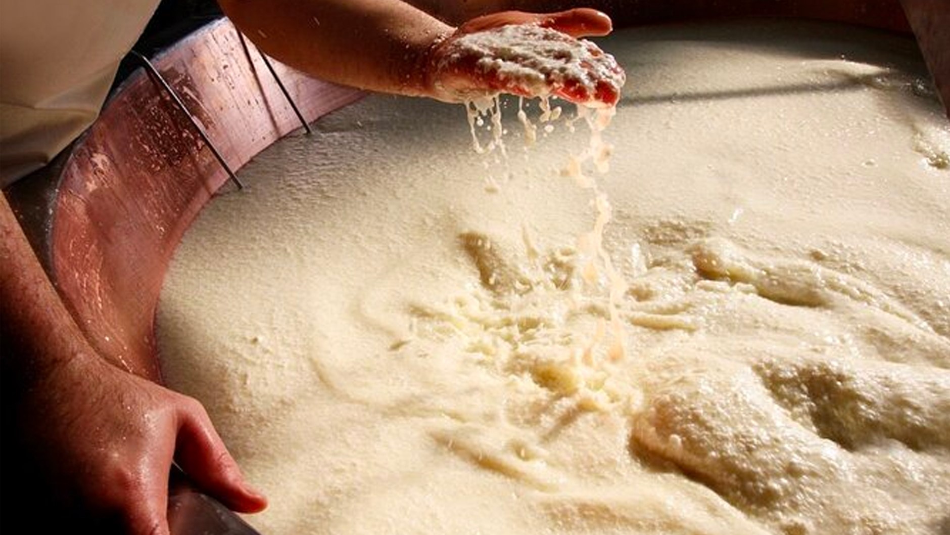 親身感受帕瑪森起司的製作工藝，從凝乳到熟成，每個環節都蘊藏著匠心