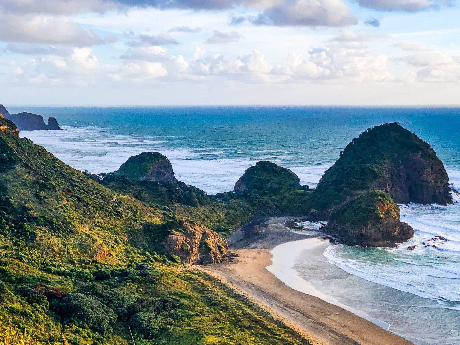 Sheep World & West Auckland Discovery Small Group Day Tour