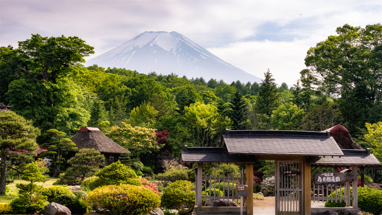 富士山探索之旅-新倉山淺間公園·天梯小鎮·忍野八海·河口湖大石公園·西湖療愈里根場一日遊