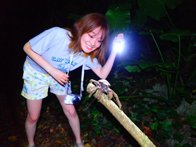欣賞與白天不同的宮古島夜景。