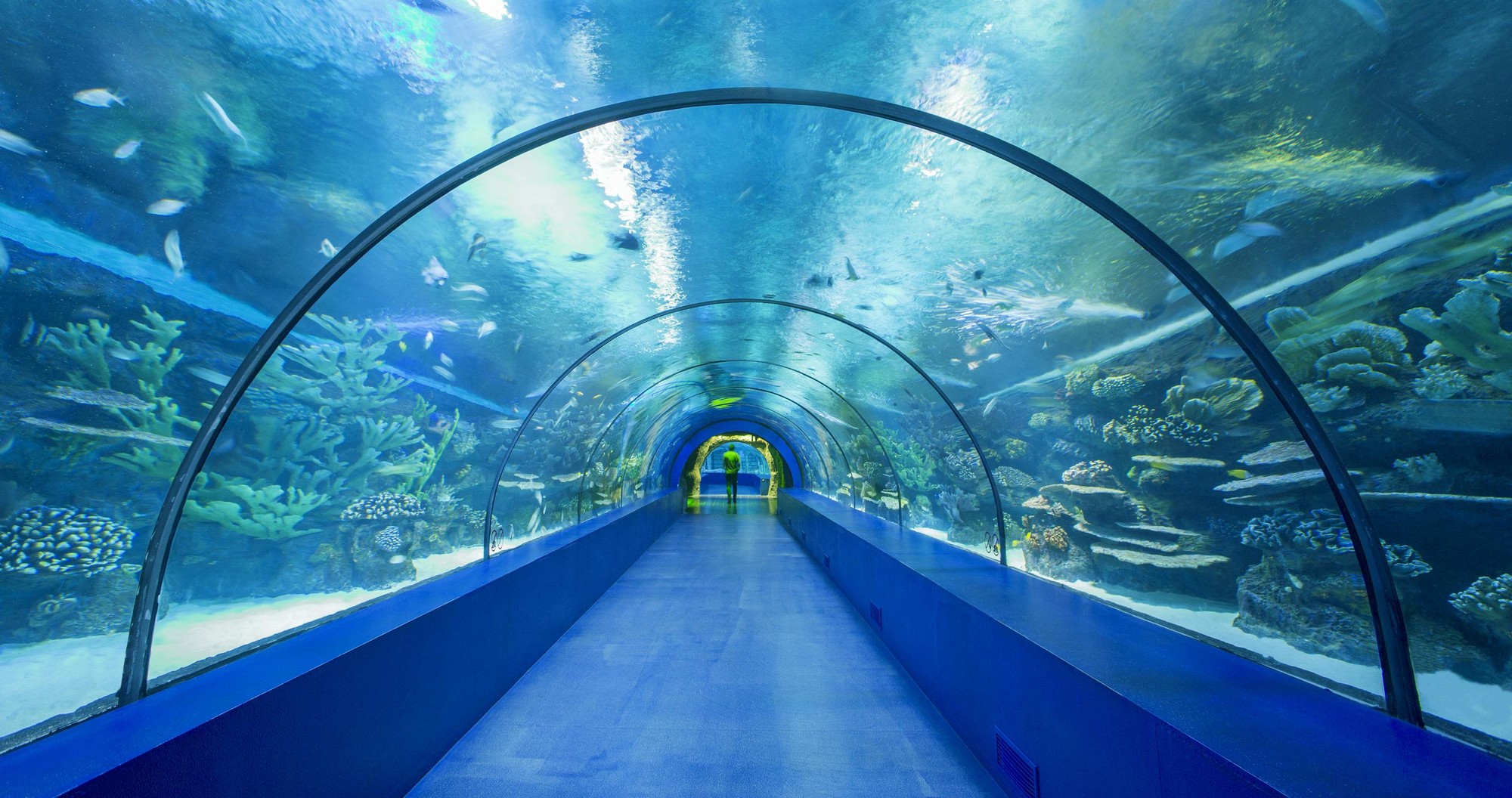 安塔利亞水族館之旅（含門票＆接送）- 阿拉尼亞出發