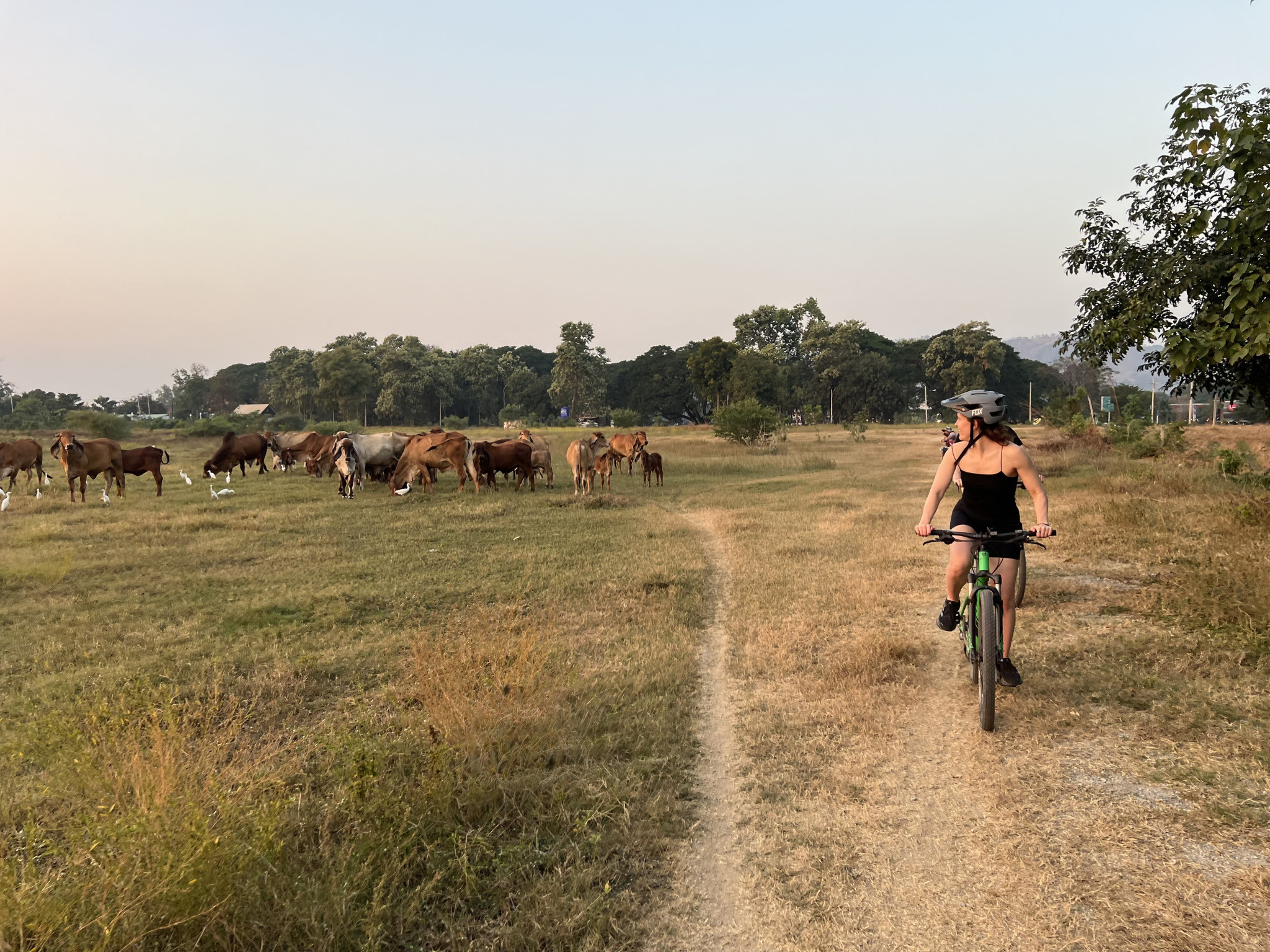 Kanchanaburi: Sunset Ride with History and Homestyle Dinner Tour